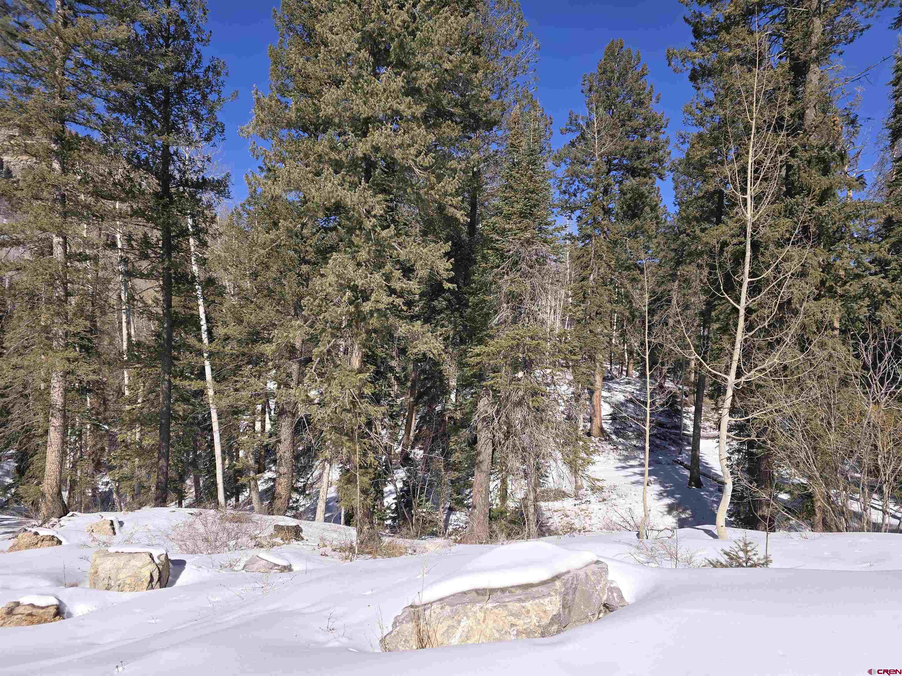 331 Beaver Circle Durango, CO 81301 - Photo 11 of 25