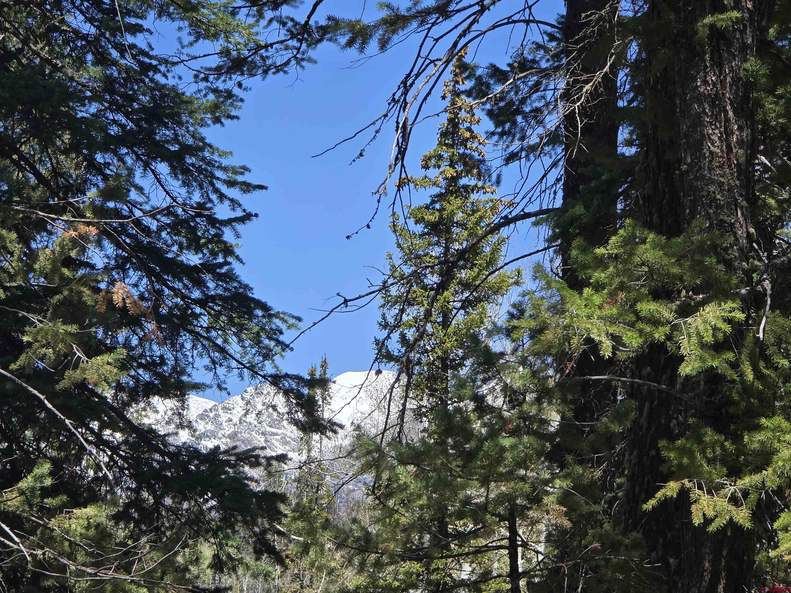 331 Beaver Circle Durango, CO 81301 - Photo 13 of 25