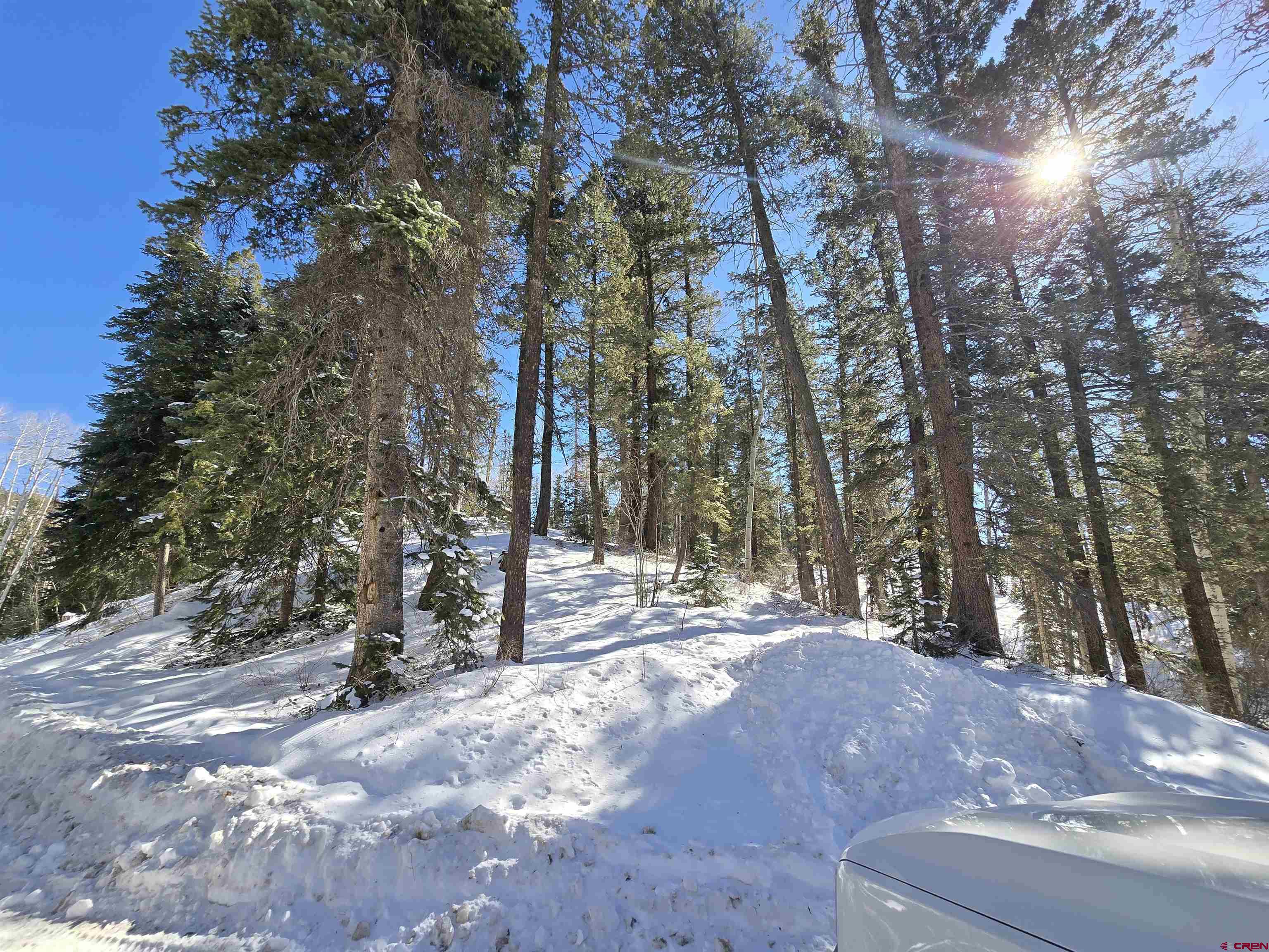 331 Beaver Circle Durango, CO 81301 - Photo 14 of 25