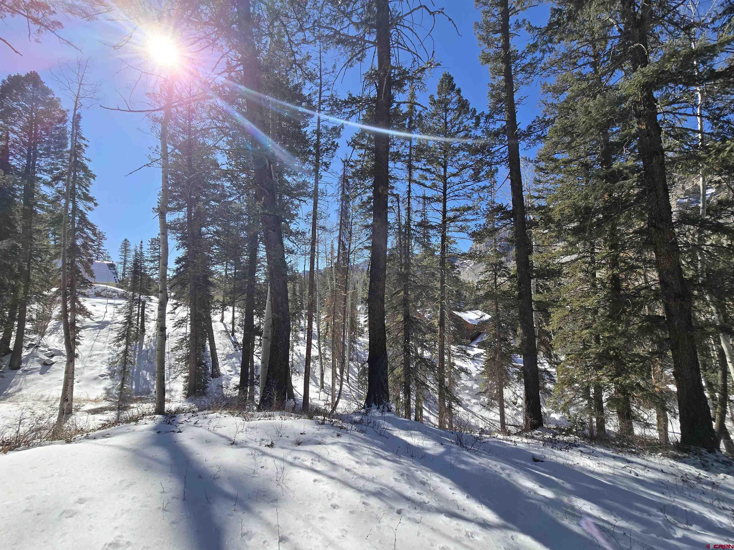 331 Beaver Circle Durango, CO 81301 - Photo 18 of 25