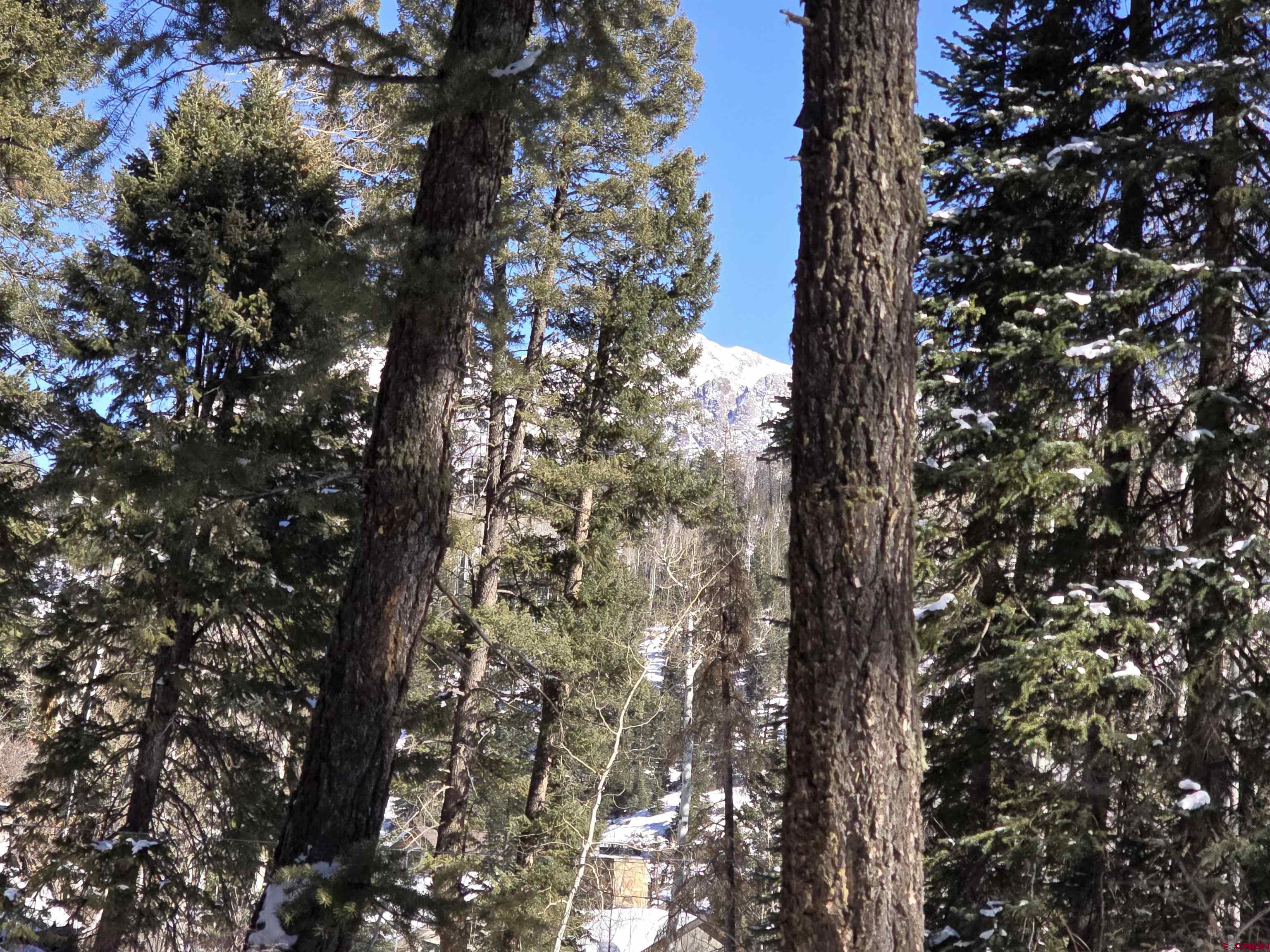 331 Beaver Circle Durango, CO 81301 - Photo 19 of 25