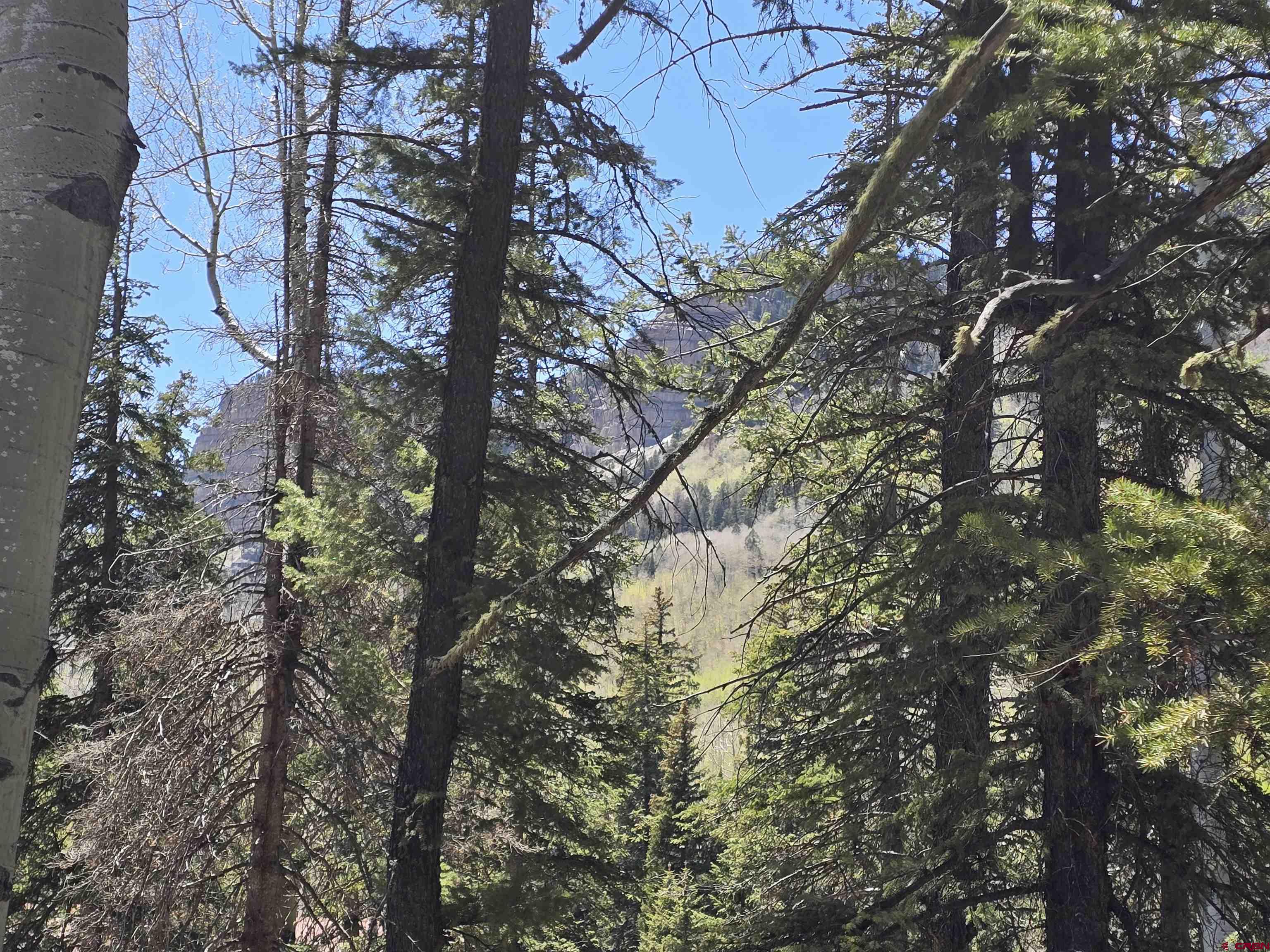 331 Beaver Circle Durango, CO 81301 - Photo 2 of 25