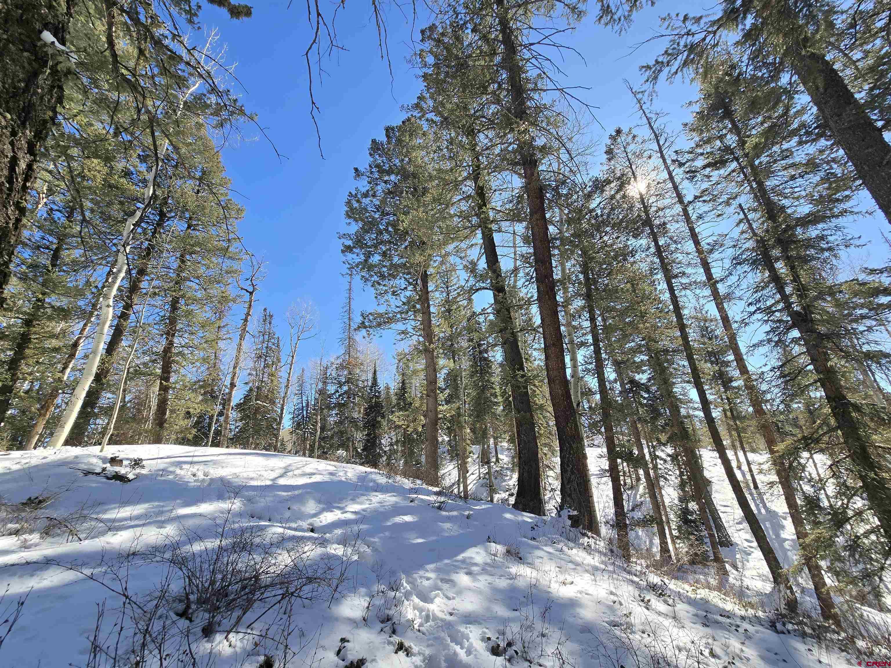 331 Beaver Circle Durango, CO 81301 - Photo 21 of 25