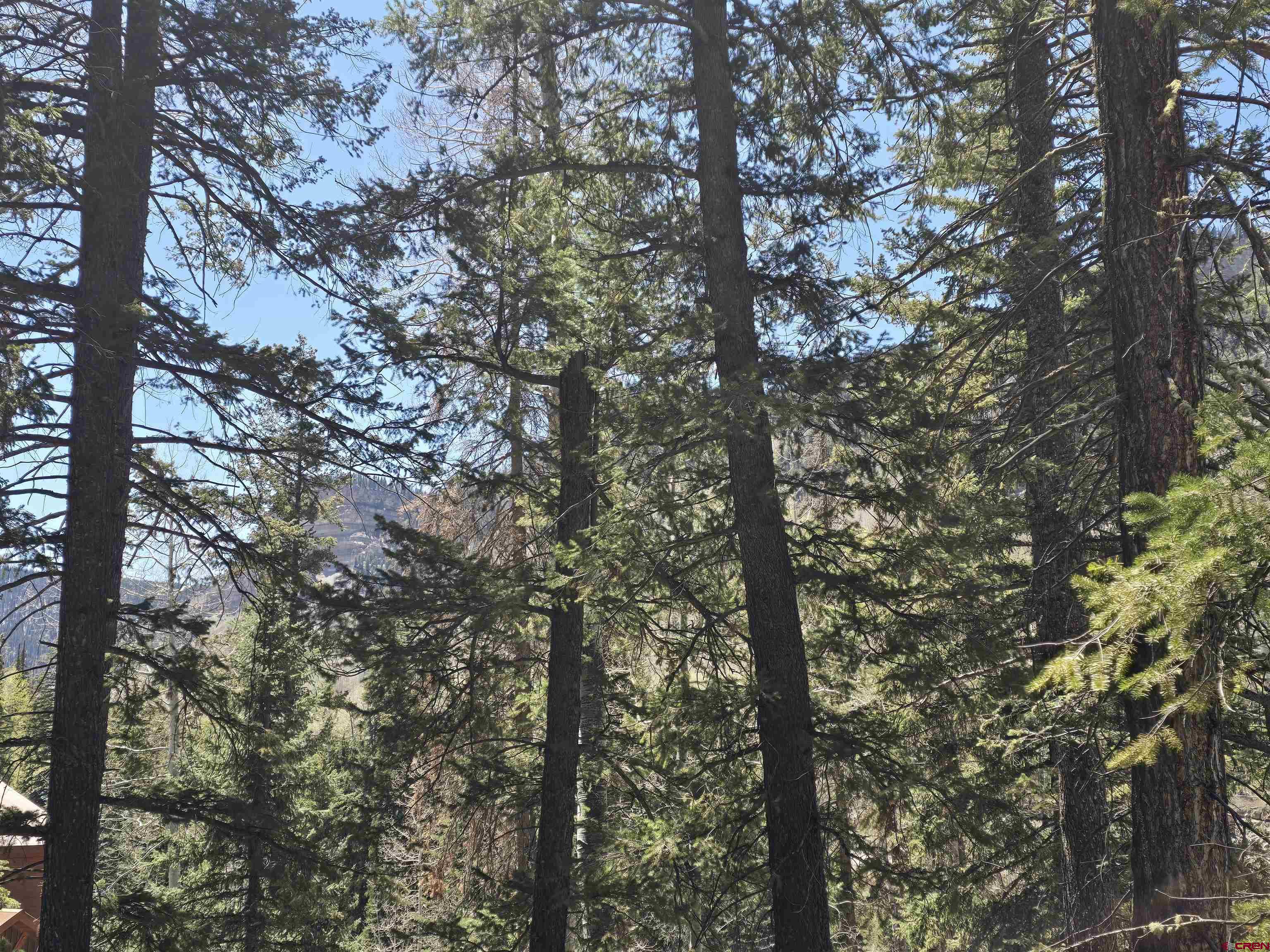 331 Beaver Circle Durango, CO 81301 - Photo 23 of 25