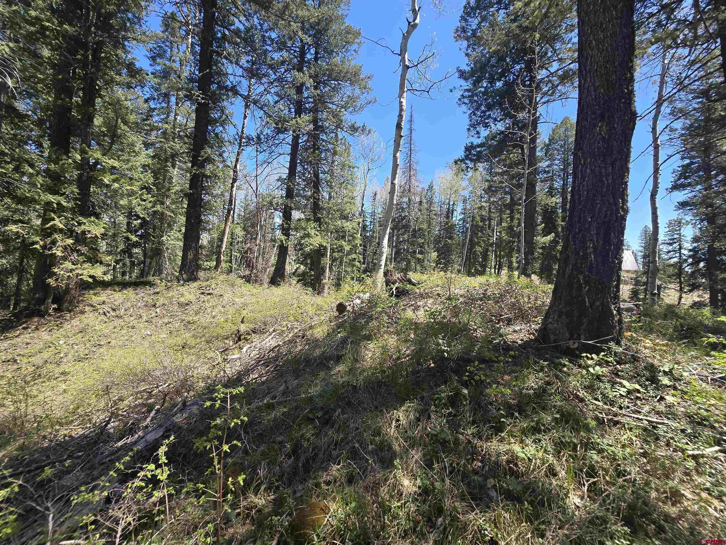 331 Beaver Circle Durango, CO 81301 - Photo 3 of 25