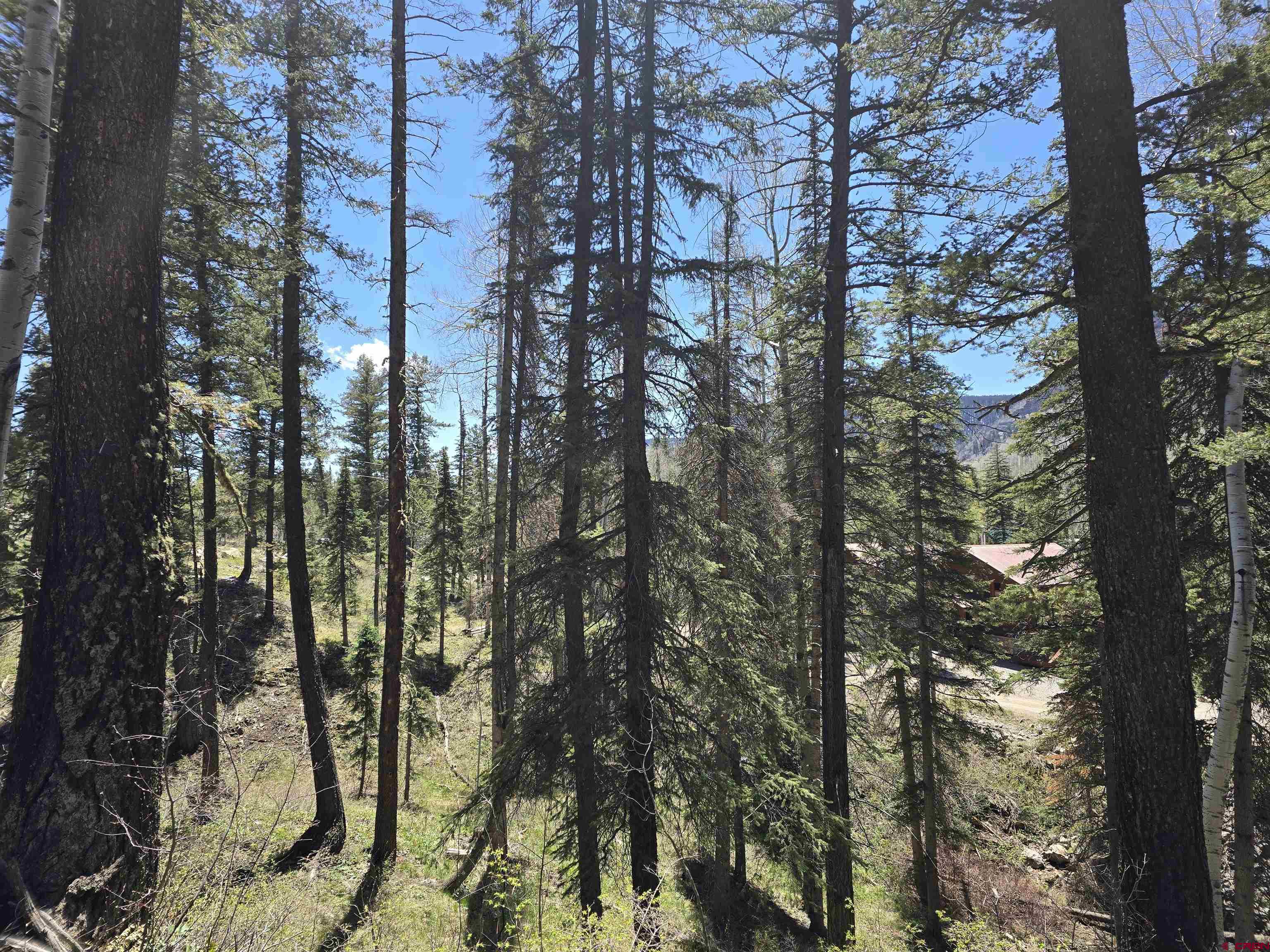 331 Beaver Circle Durango, CO 81301 - Photo 4 of 25