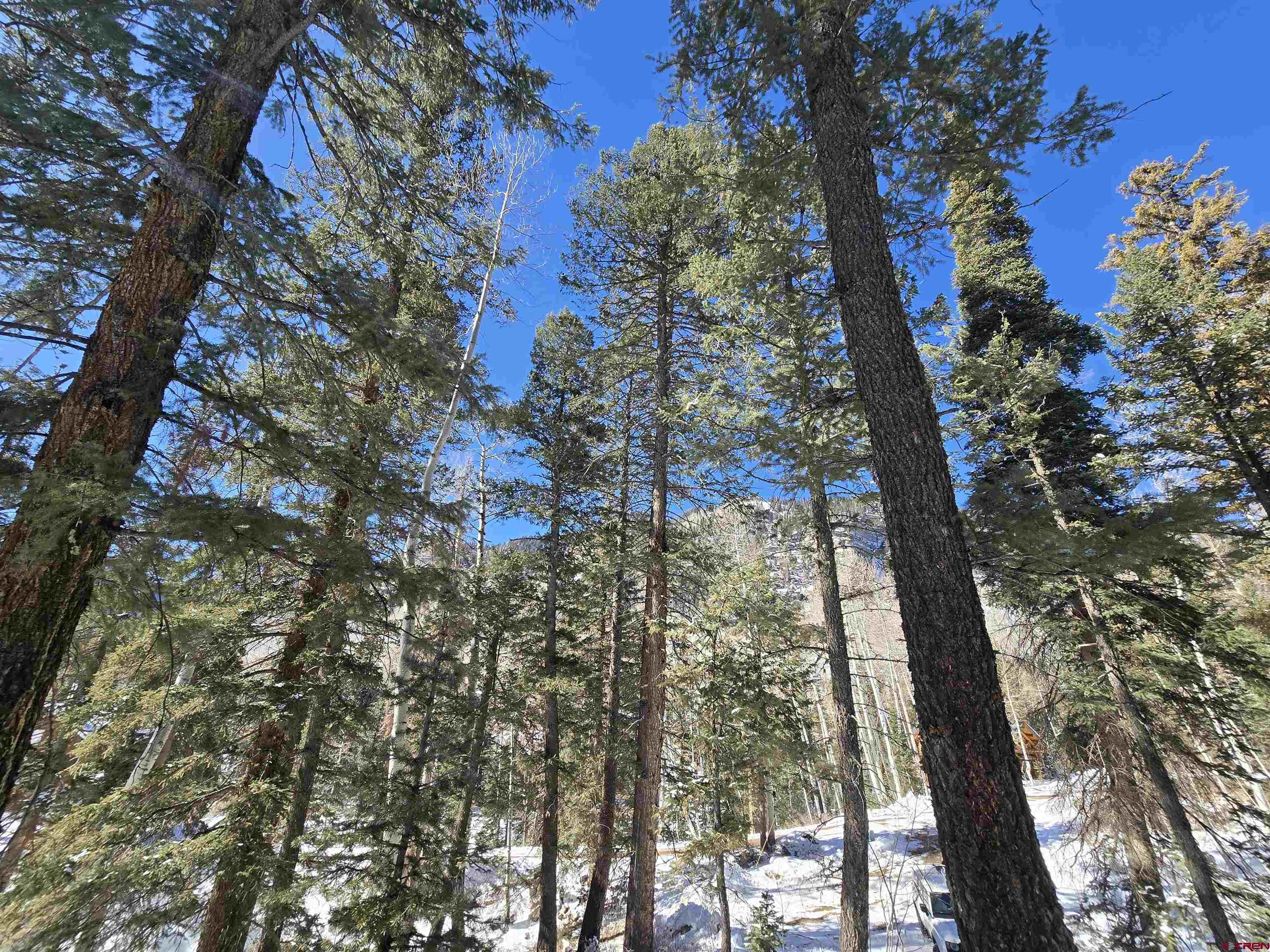 331 Beaver Circle Durango, CO 81301 - Photo 5 of 25