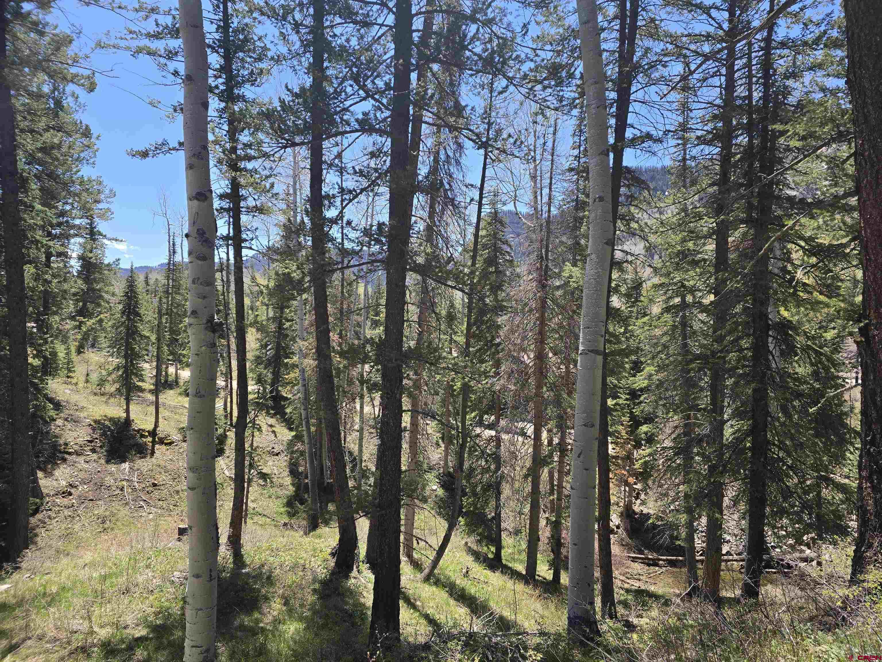 331 Beaver Circle Durango, CO 81301 - Photo 6 of 25