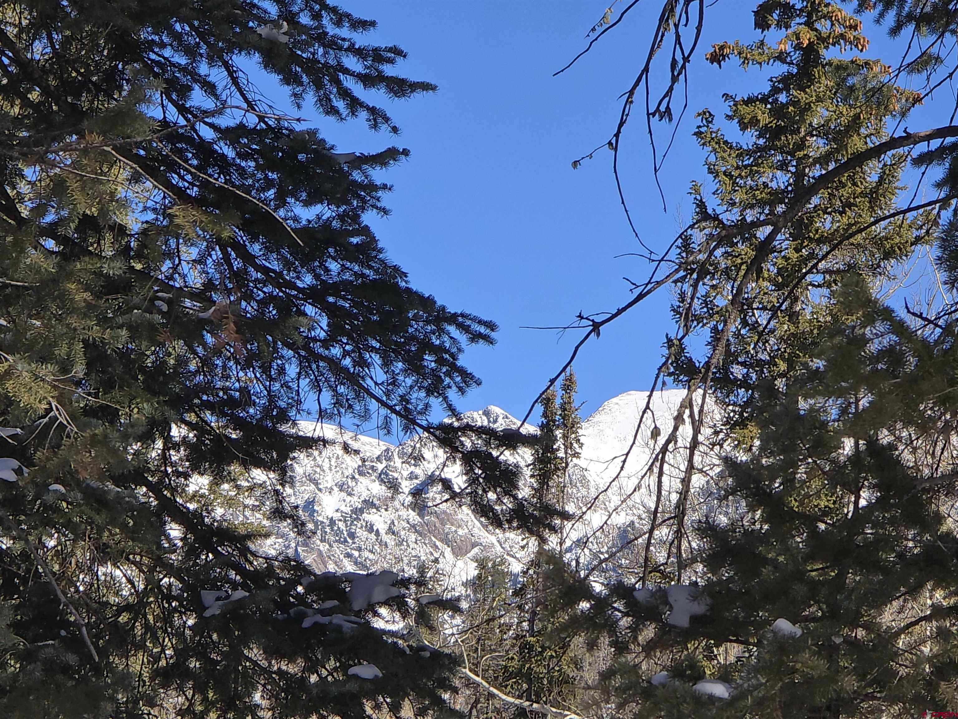 331 Beaver Circle Durango, CO 81301 - Photo 10 of 25