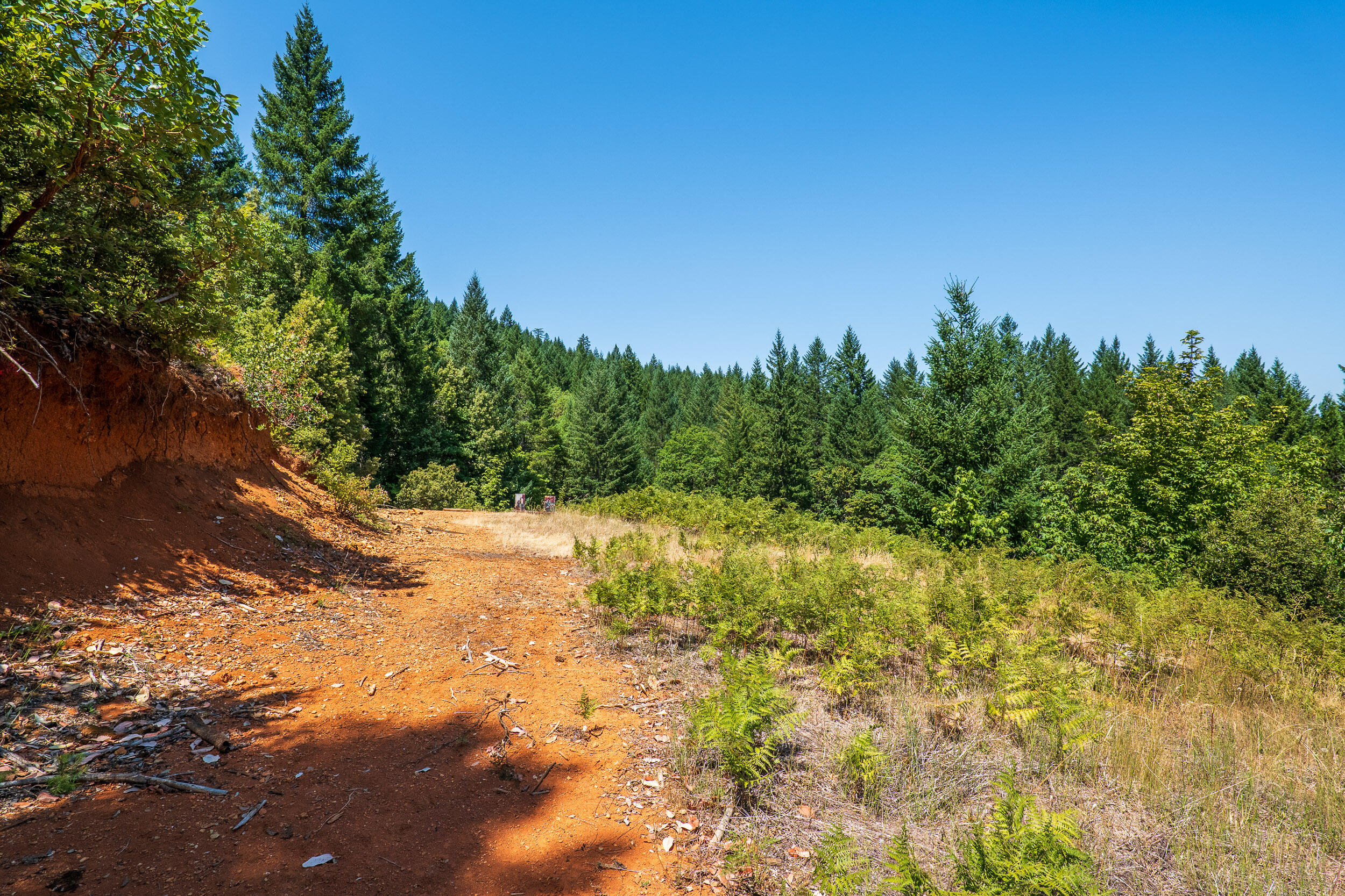 4651 Thompson Creek Road Selma, OR 97538 - Photo 17 of 17 4651ThompsonCreekRd-025