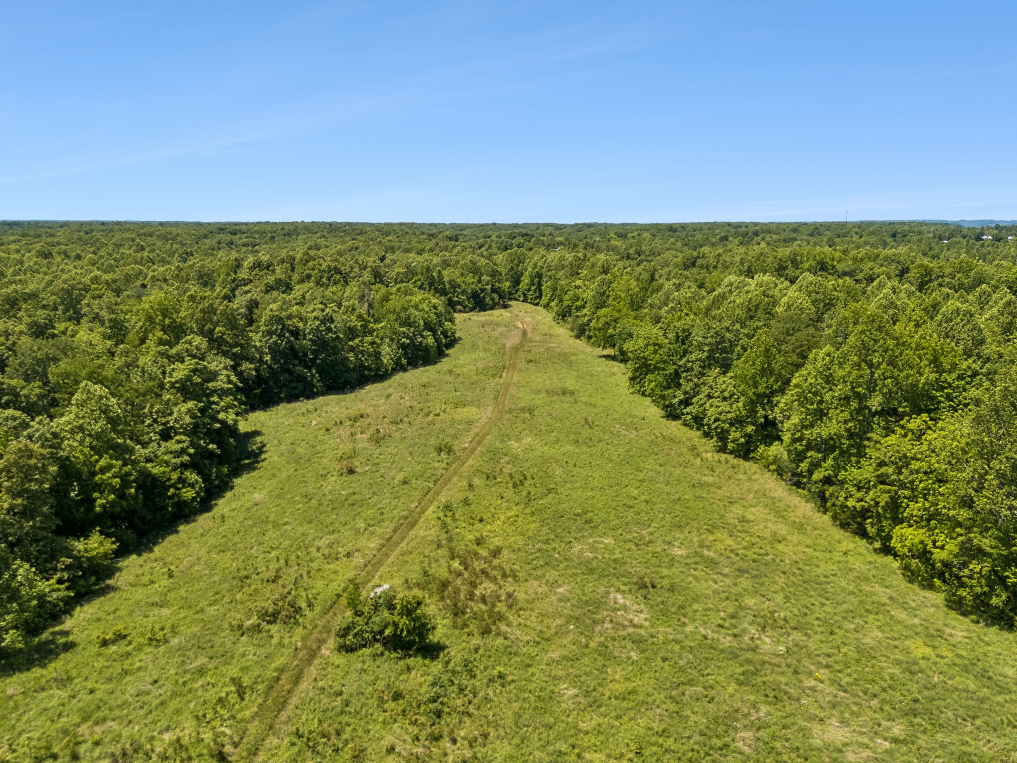 655 Burton Ridge Road Silver Point, TN 38582 - Photo 39 of 64