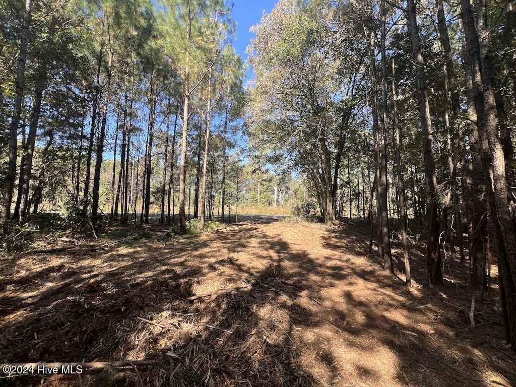 2 Veachs Mill Road Warsaw, NC 28398 - Photo 6 of 27 5