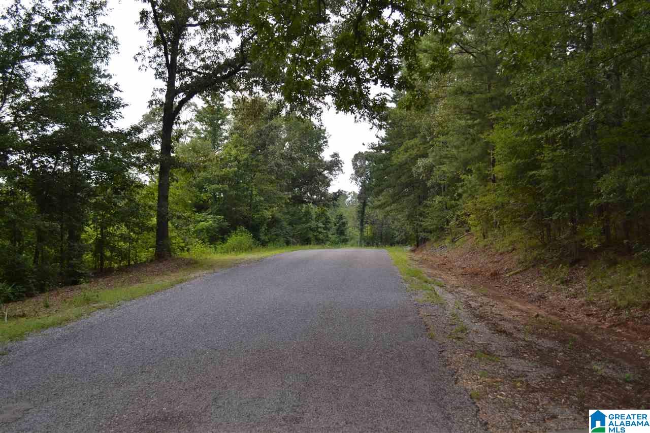 0 Water Oak Lane, Unit 39 ACRES Alpine, AL 35014 - Photo 3 of 7