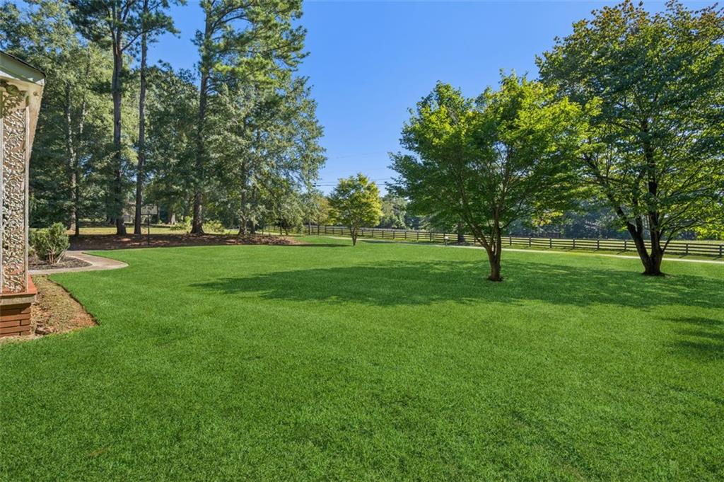13890 Cowart Road Alpharetta, GA 30004 - Photo 9 of 33 a view of a tree in a park