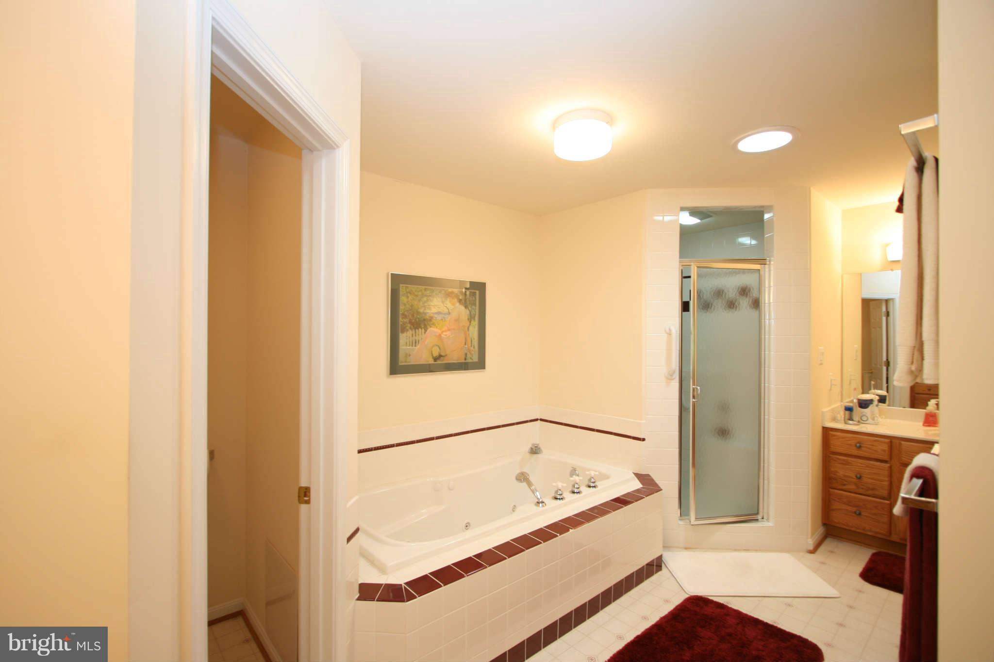 3362 Basford Road Frederick, MD 21703 - Photo 17 of 30 Bath (Master)