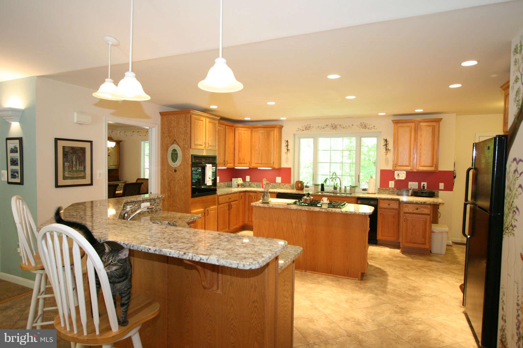 3362 Basford Road Frederick, MD 21703 - Photo 8 of 30 Kitchen