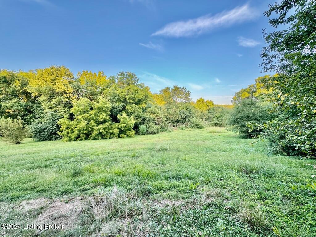 129 Lebanon Hill Road Springfield, KY 40069 - Photo 25 of 28 024_IMG_9764