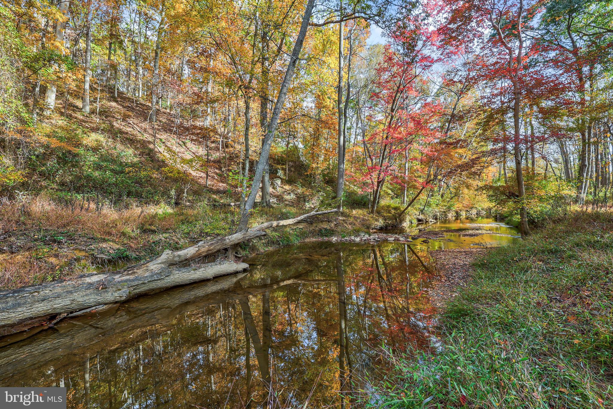 10450 Hunter View Road Vienna, VA 22181 - Photo 59 of 73 Gallery Image 59