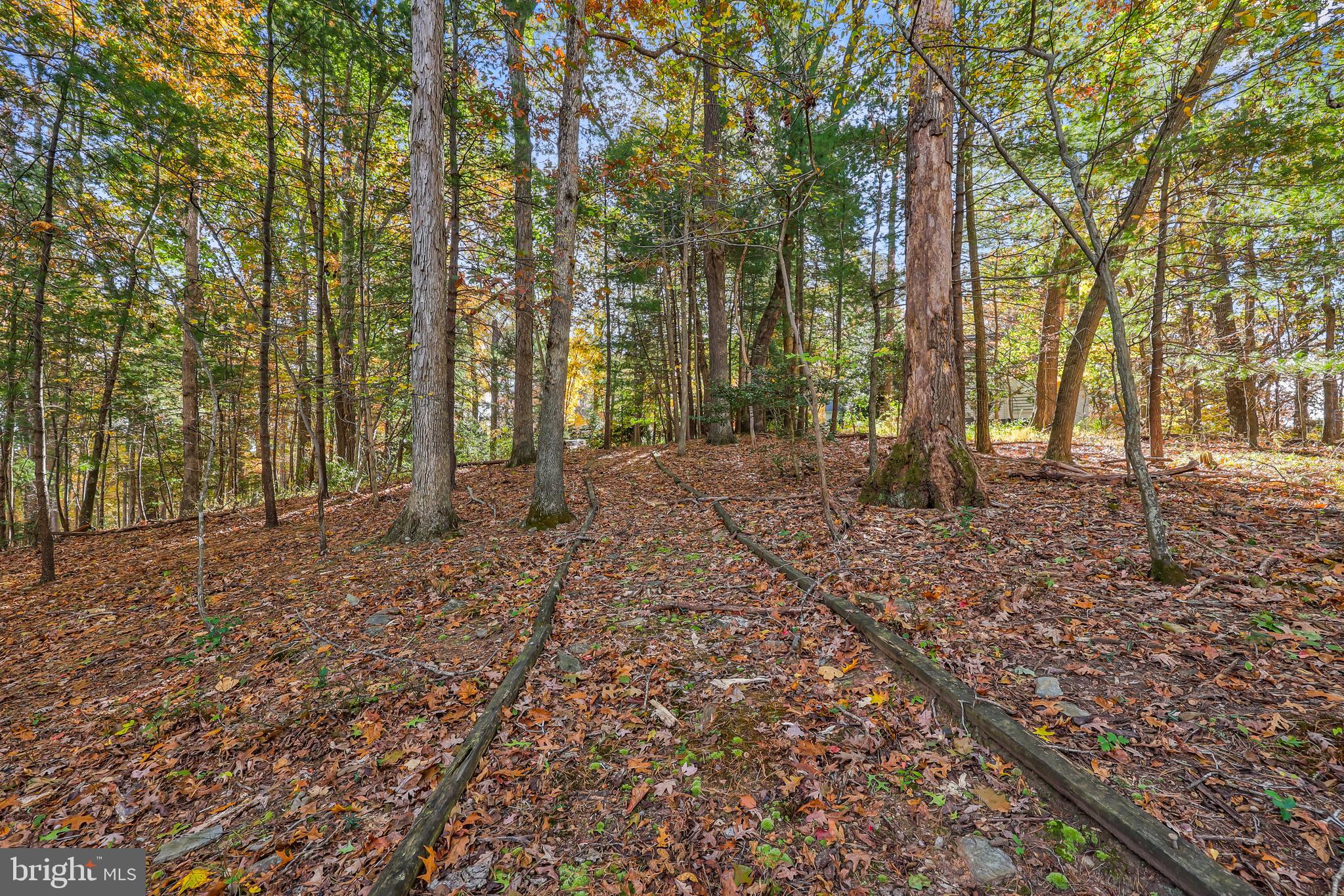 10450 Hunter View Road Vienna, VA 22181 - Photo 61 of 73 Gallery Image 61
