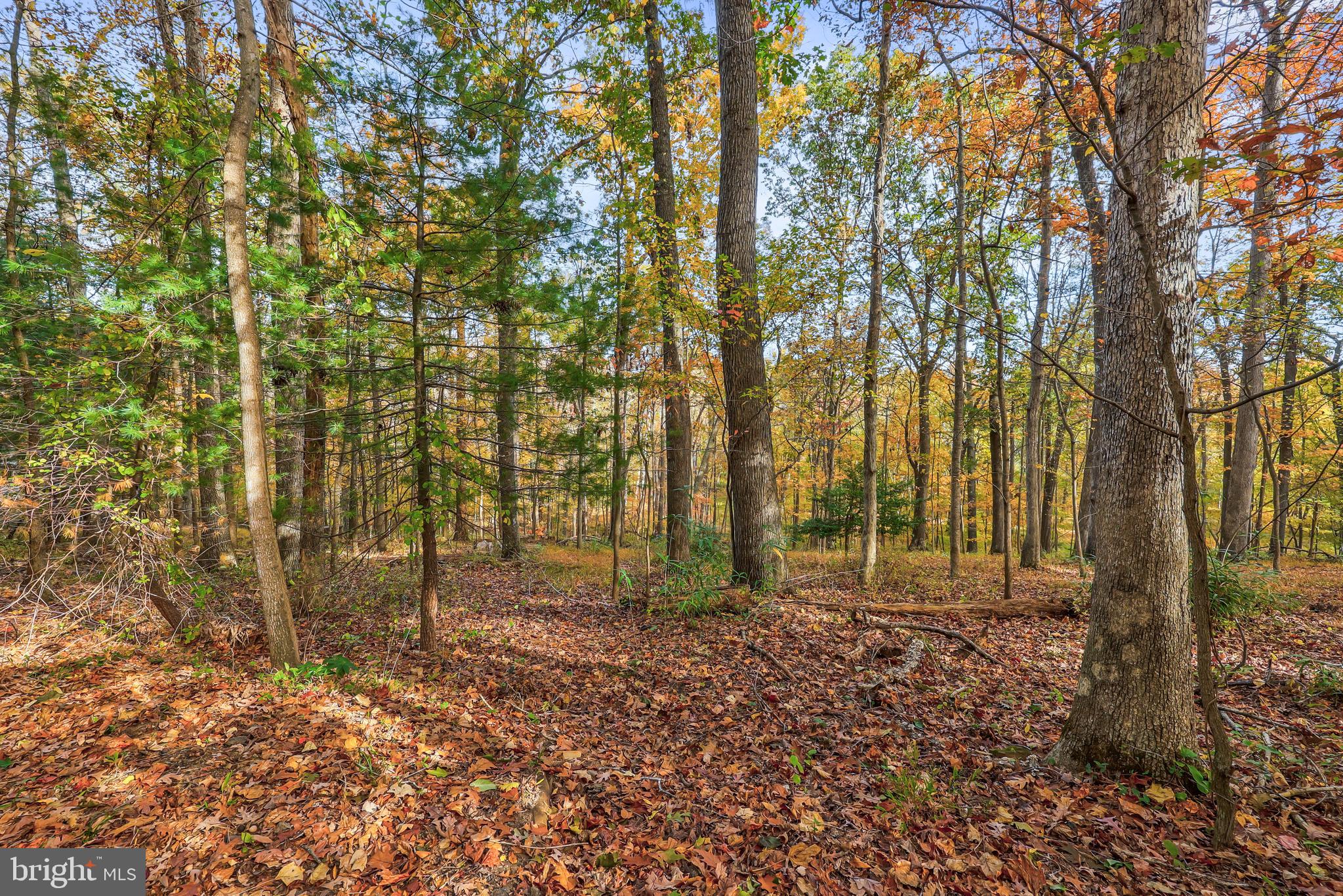 10450 Hunter View Road Vienna, VA 22181 - Photo 62 of 73 Gallery Image 62