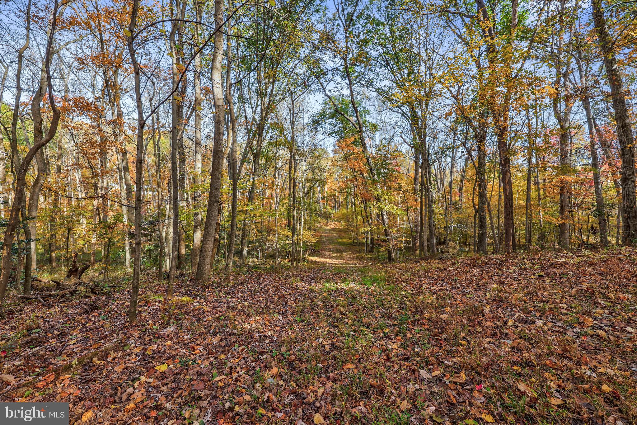 10450 Hunter View Road Vienna, VA 22181 - Photo 63 of 73 Gallery Image 63