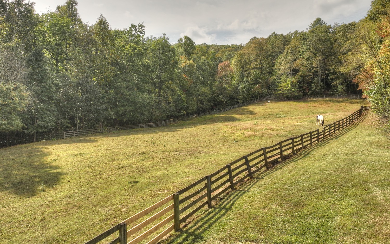 900 Evans Road Ellijay, GA 30536 - Photo 2 of 75 Additional View