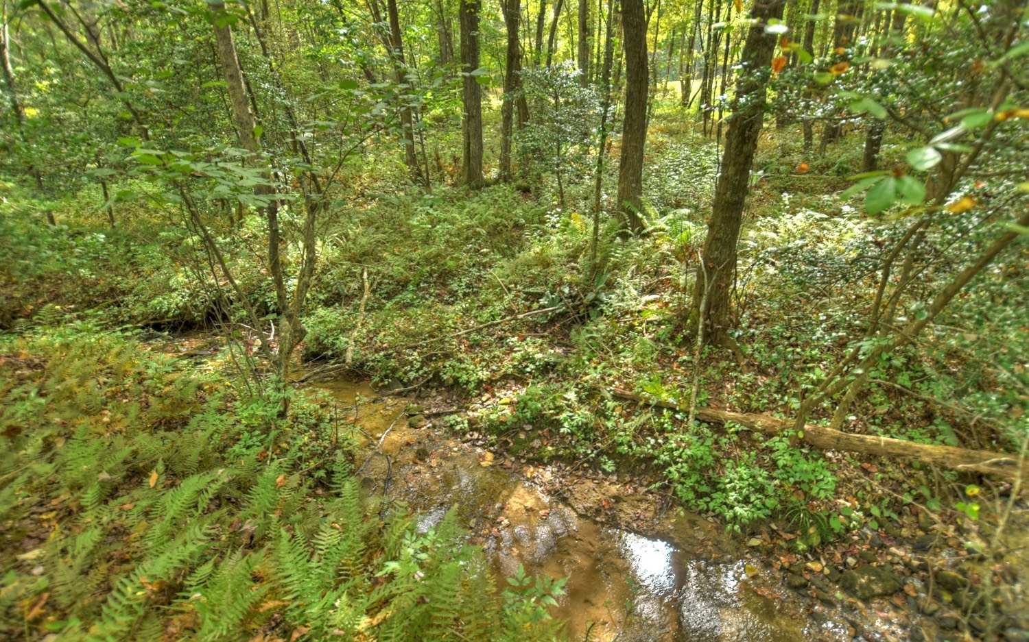 900 Evans Road Ellijay, GA 30536 - Photo 43 of 75 Additional View