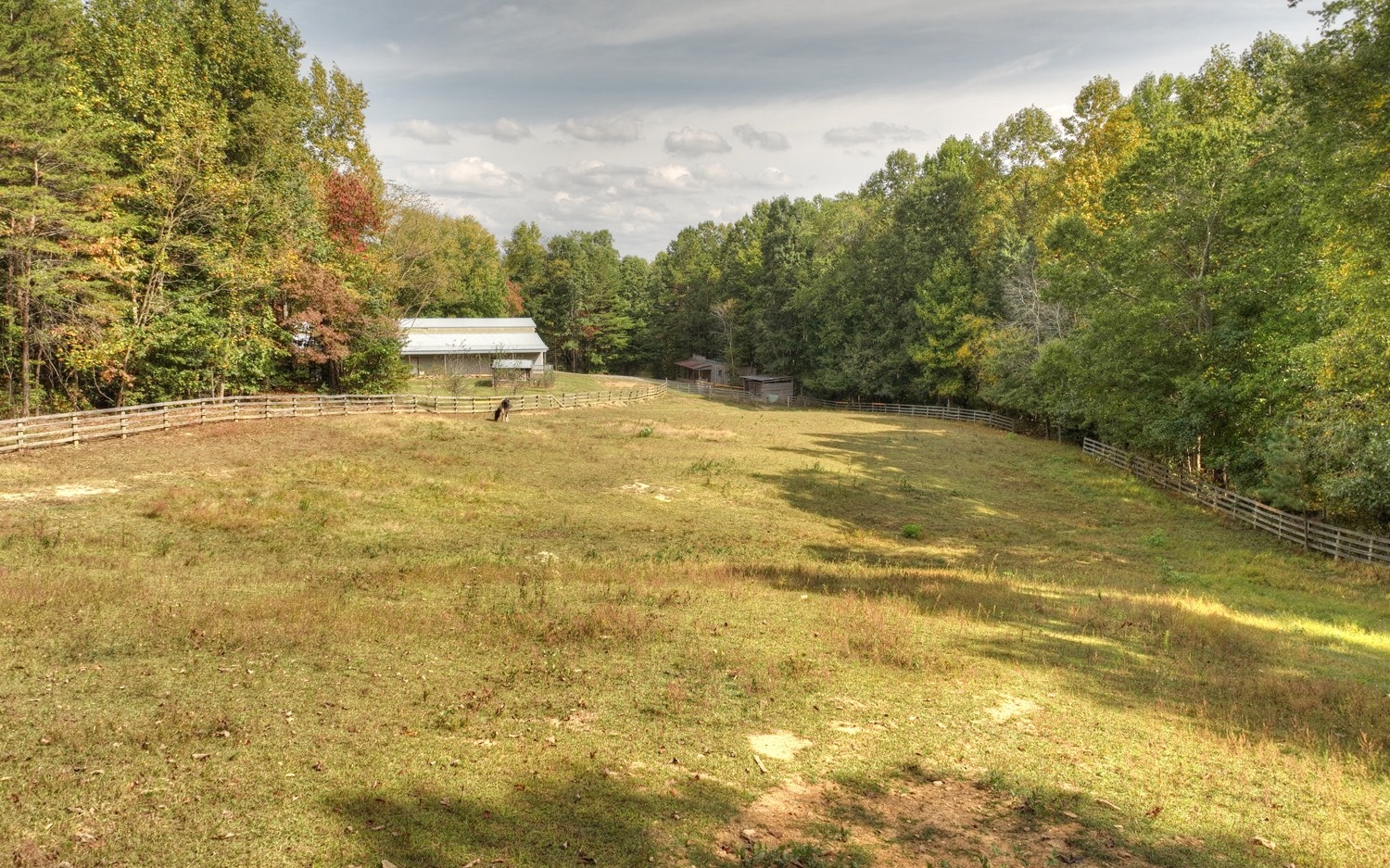 900 Evans Road Ellijay, GA 30536 - Photo 62 of 75 Additional View