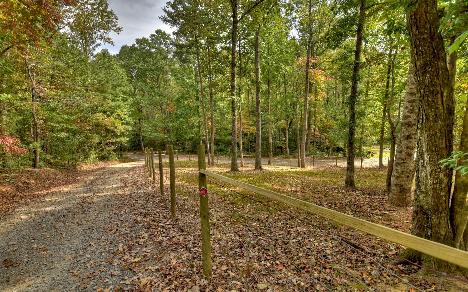 900 Evans Road Ellijay, GA 30536 - Photo 63 of 75 Additional View