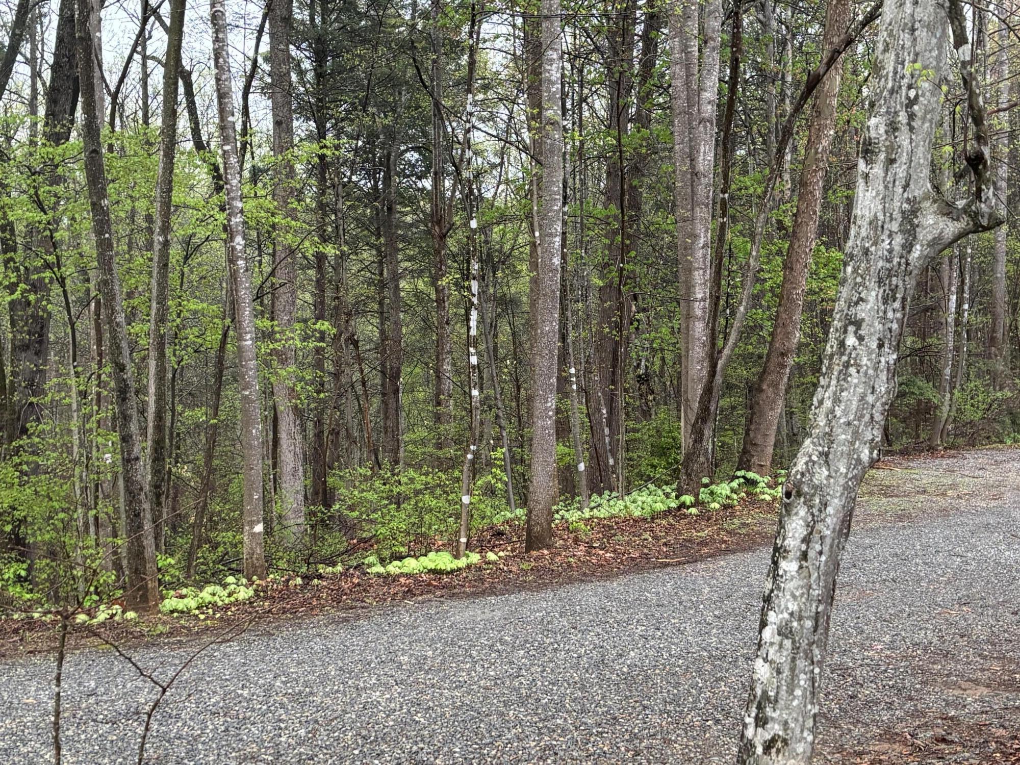 980 Power Dam Road Rocky Mount, VA 24151 - Photo 52 of 55