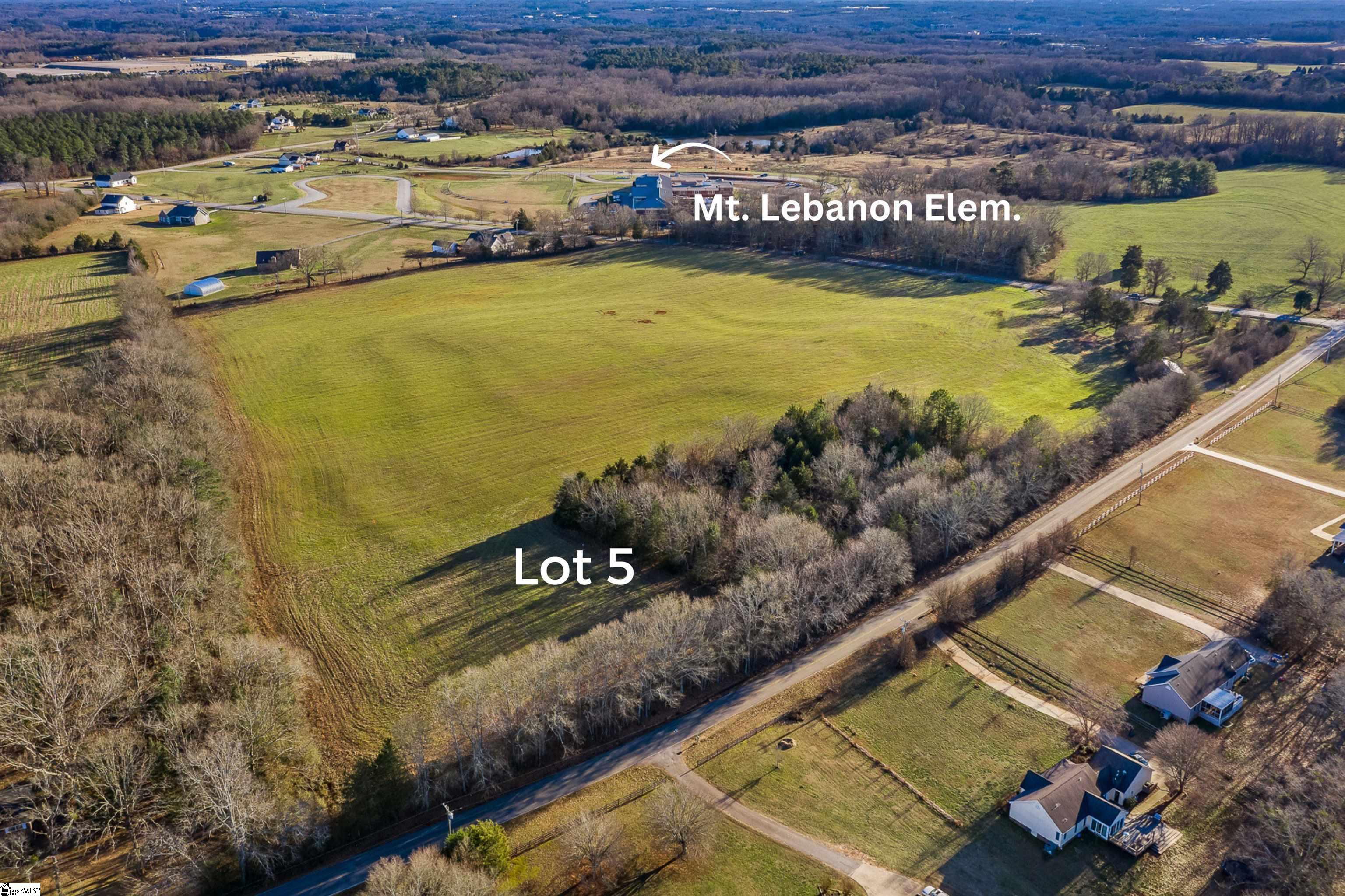 0 Jolly Wingo Road, Unit LOT 5 Pendleton, SC 29670 - Photo 2 of 8