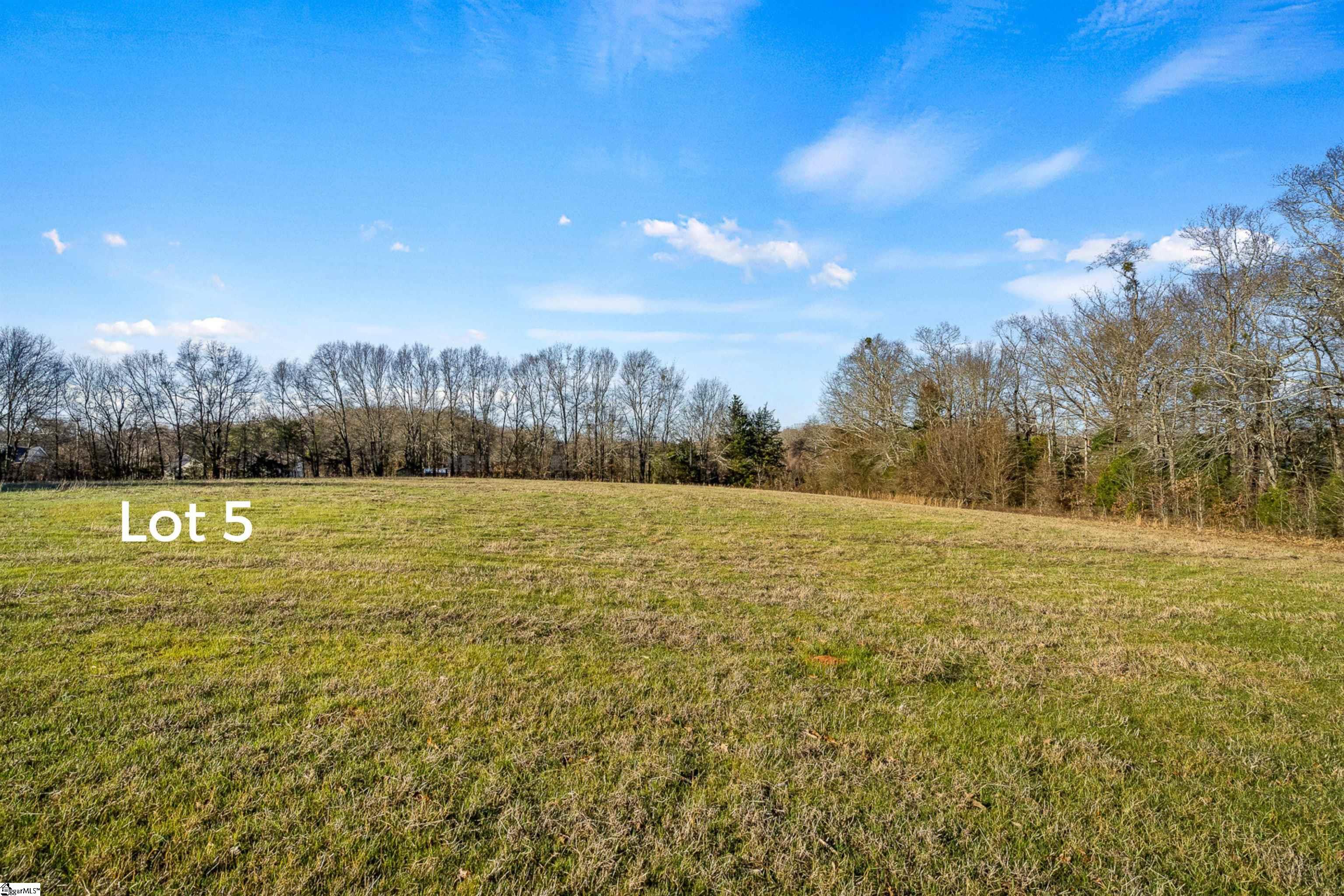 0 Jolly Wingo Road, Unit LOT 5 Pendleton, SC 29670 - Photo 3 of 8