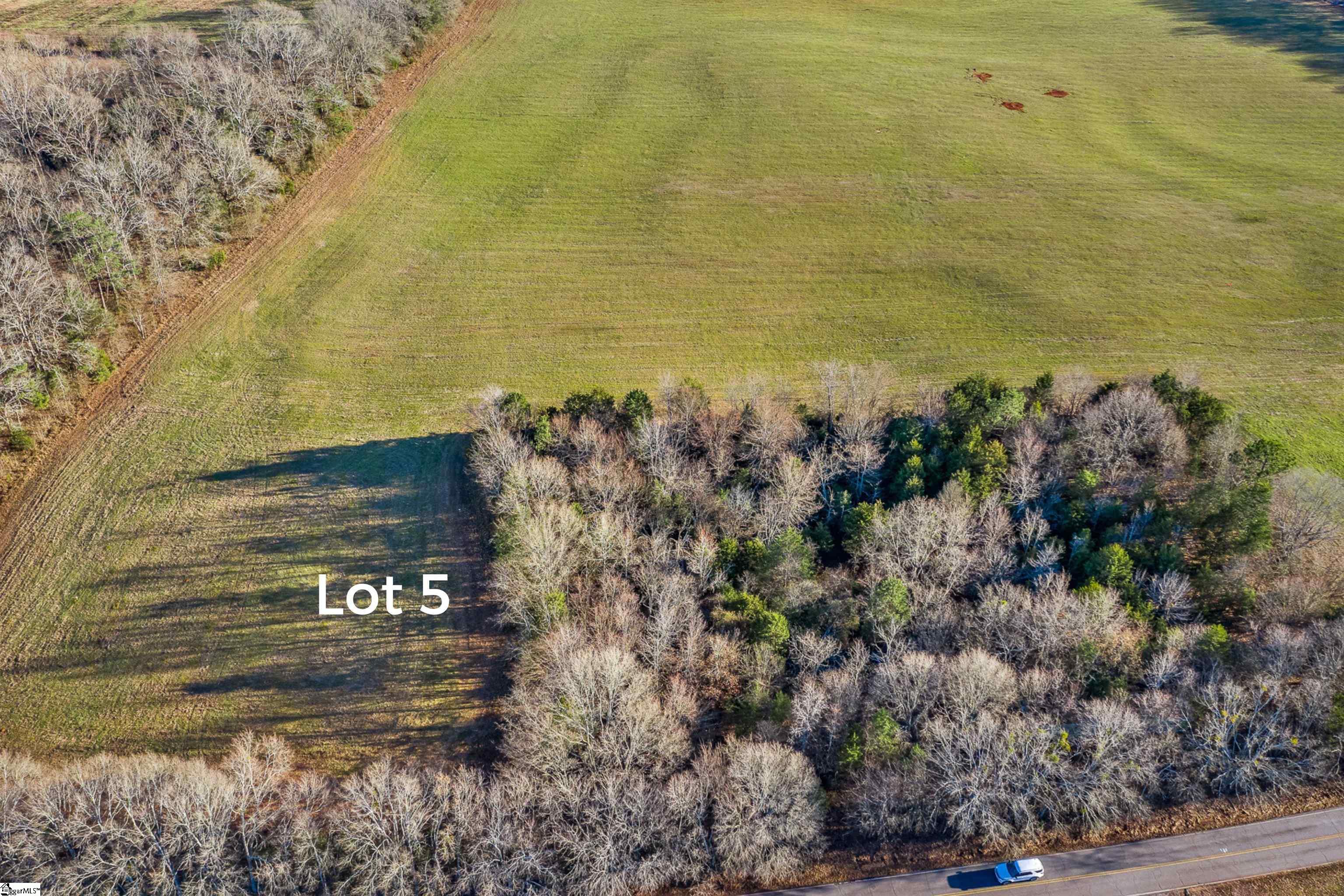 0 Jolly Wingo Road, Unit LOT 5 Pendleton, SC 29670 - Photo 4 of 8
