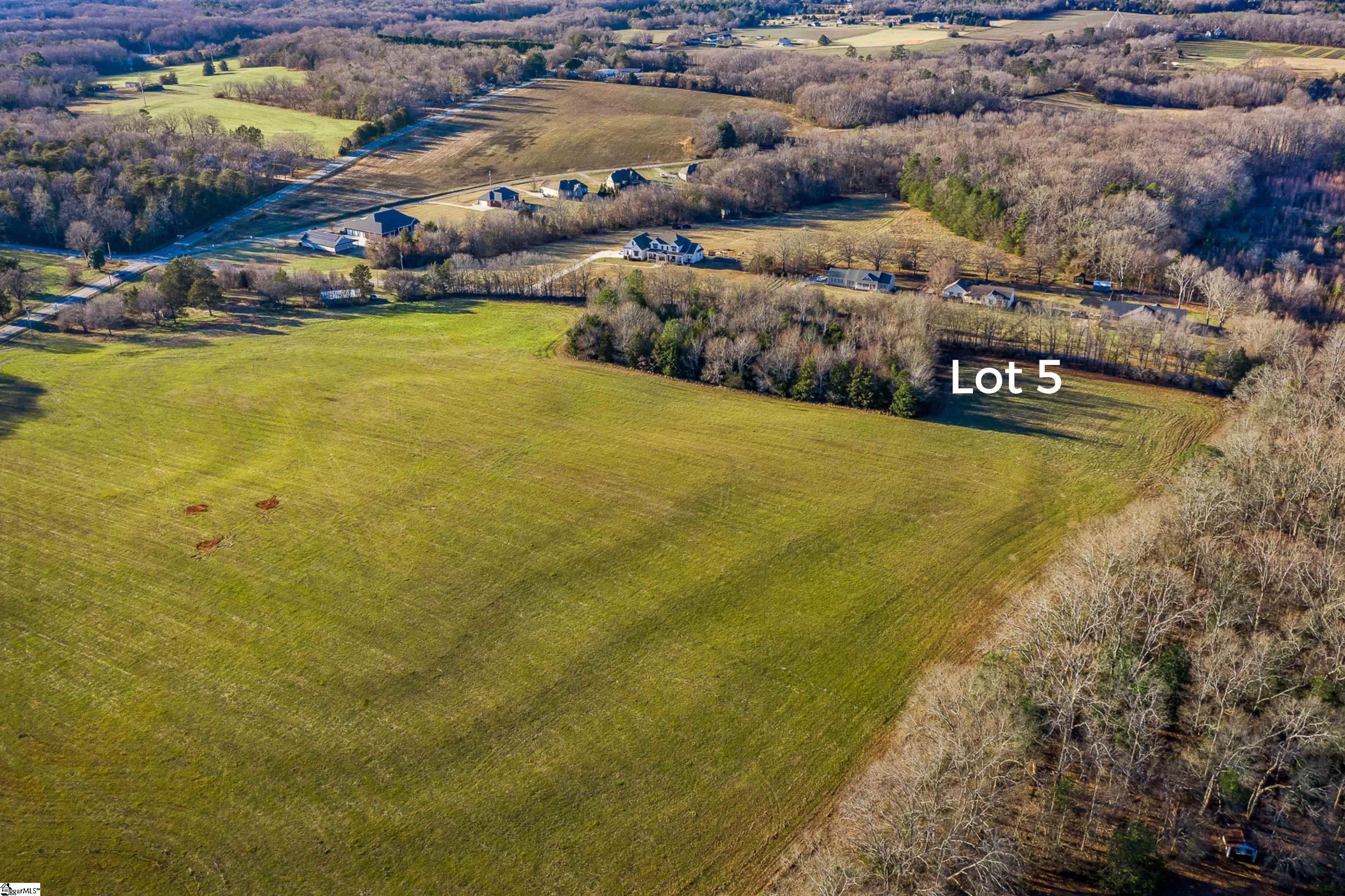 0 Jolly Wingo Road, Unit LOT 5 Pendleton, SC 29670 - Photo 5 of 8