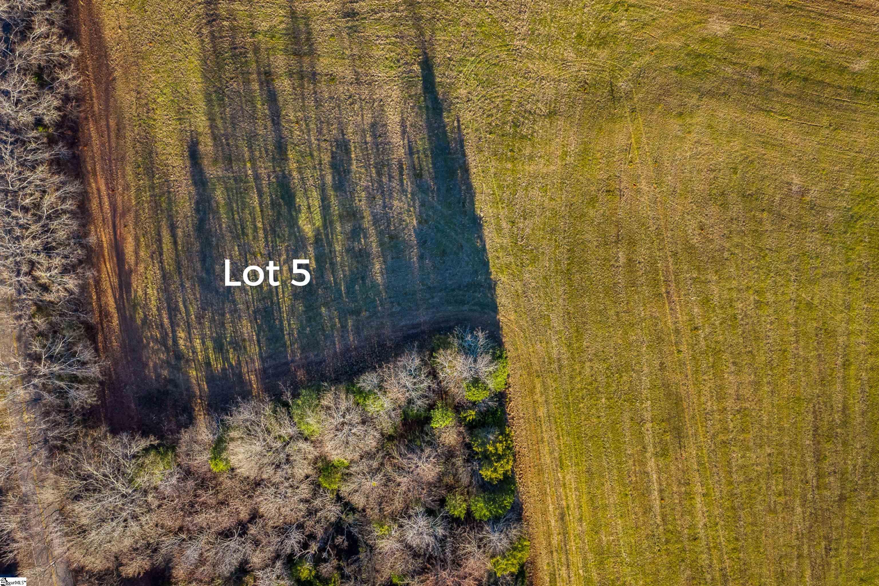 0 Jolly Wingo Road, Unit LOT 5 Pendleton, SC 29670 - Photo 7 of 8