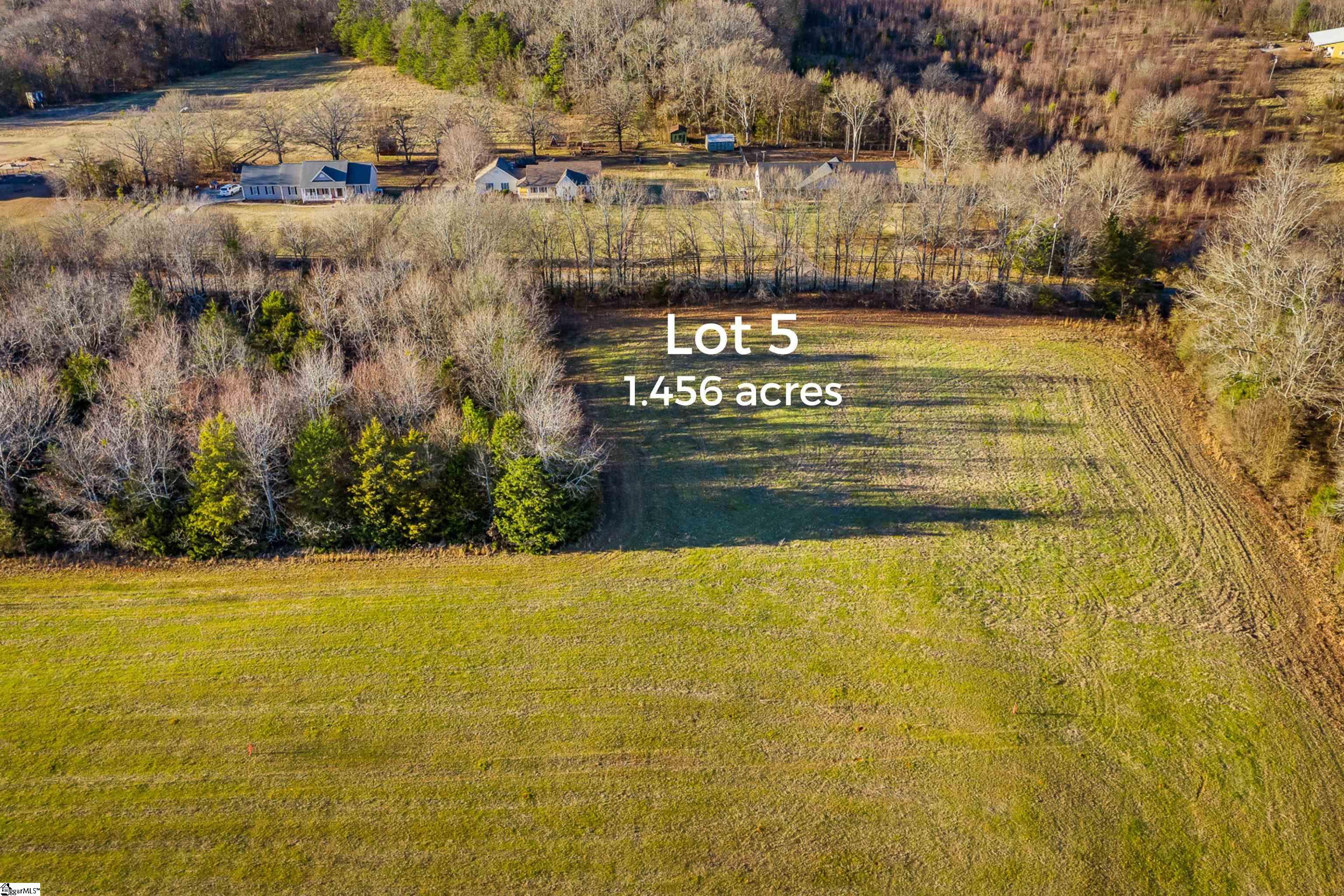 0 Jolly Wingo Road, Unit LOT 5 Pendleton, SC 29670 - Photo 8 of 8