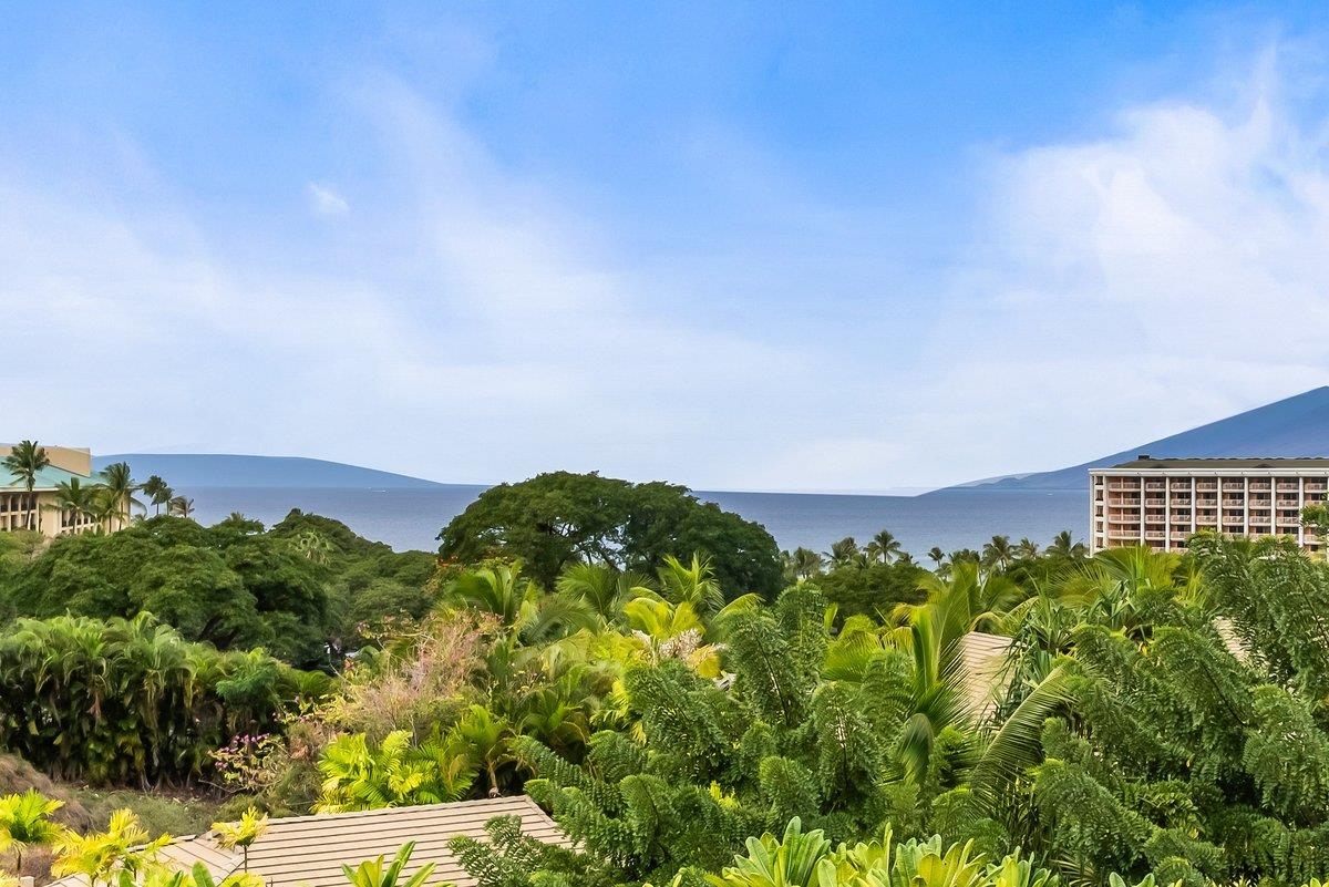 21 Kiloa Street, Unit 4 Kihei, HI 96753 - Photo 18 of 50