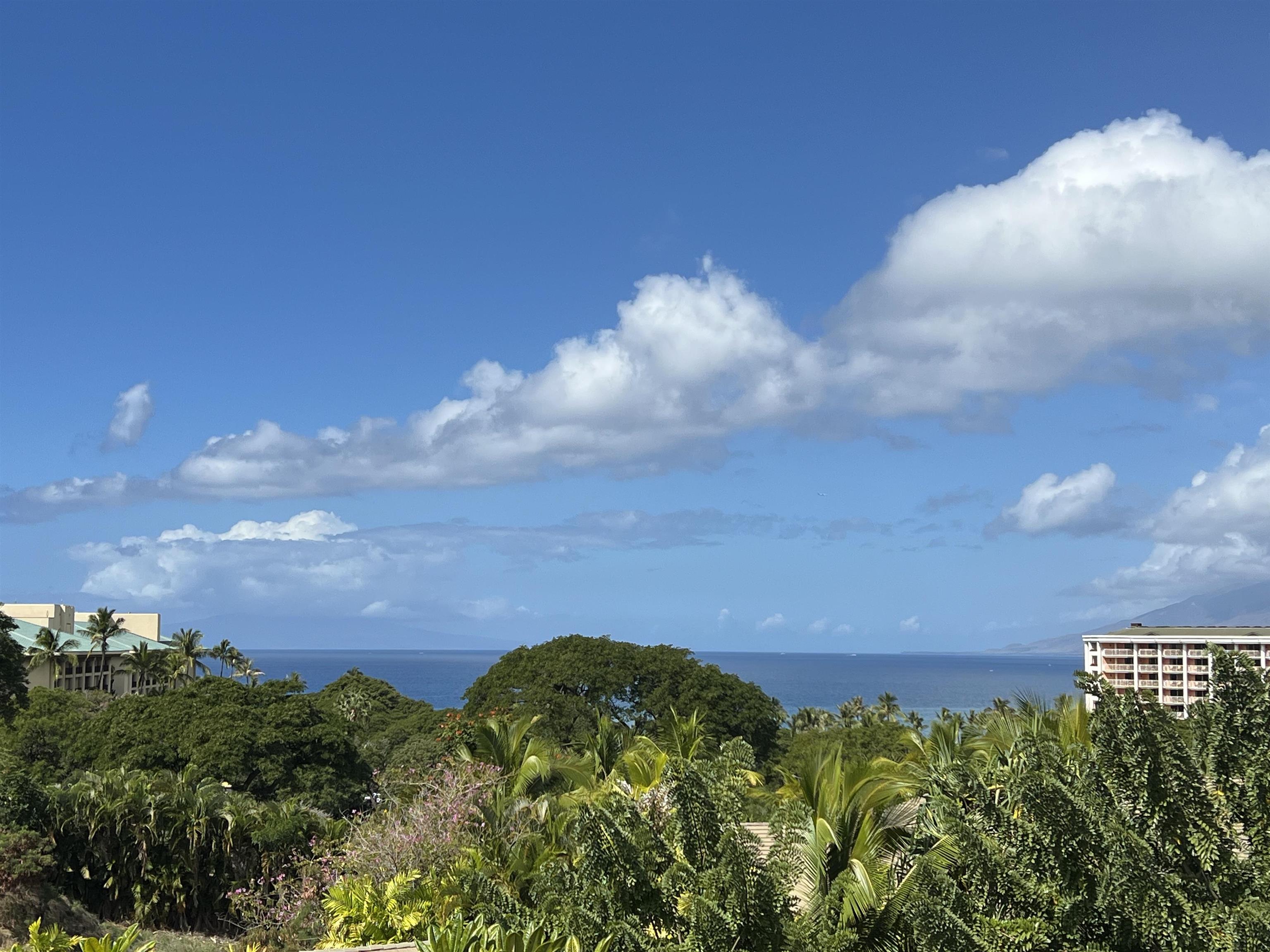 21 Kiloa Street, Unit 4 Kihei, HI 96753 - Photo 4 of 50 a view of a lake