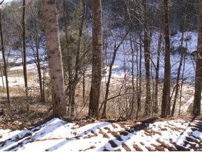 2782 Dry Hill Road Butler, TN 37640 - Photo 5 of 5 Photo 5