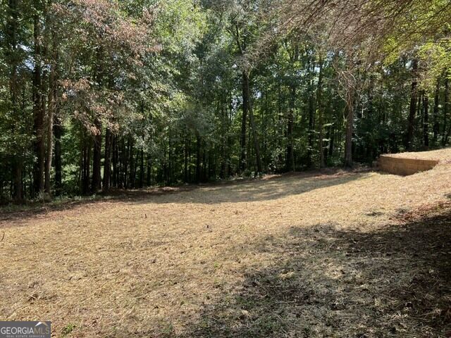 196 Old Scout Road Jackson, GA 30233 - Photo 32 of 38 Gallery Image 32