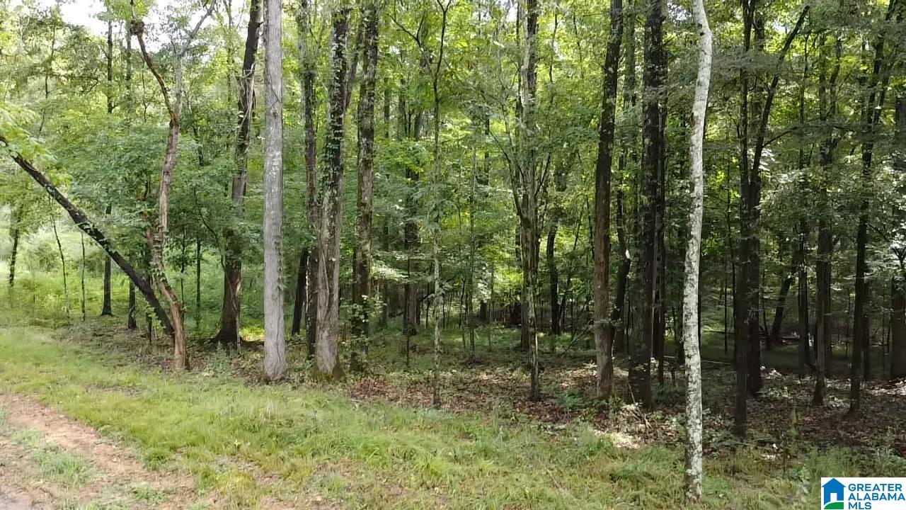 58 Rustic Oaks Drive Sterrett, AL 35147 - Photo 15 of 30
