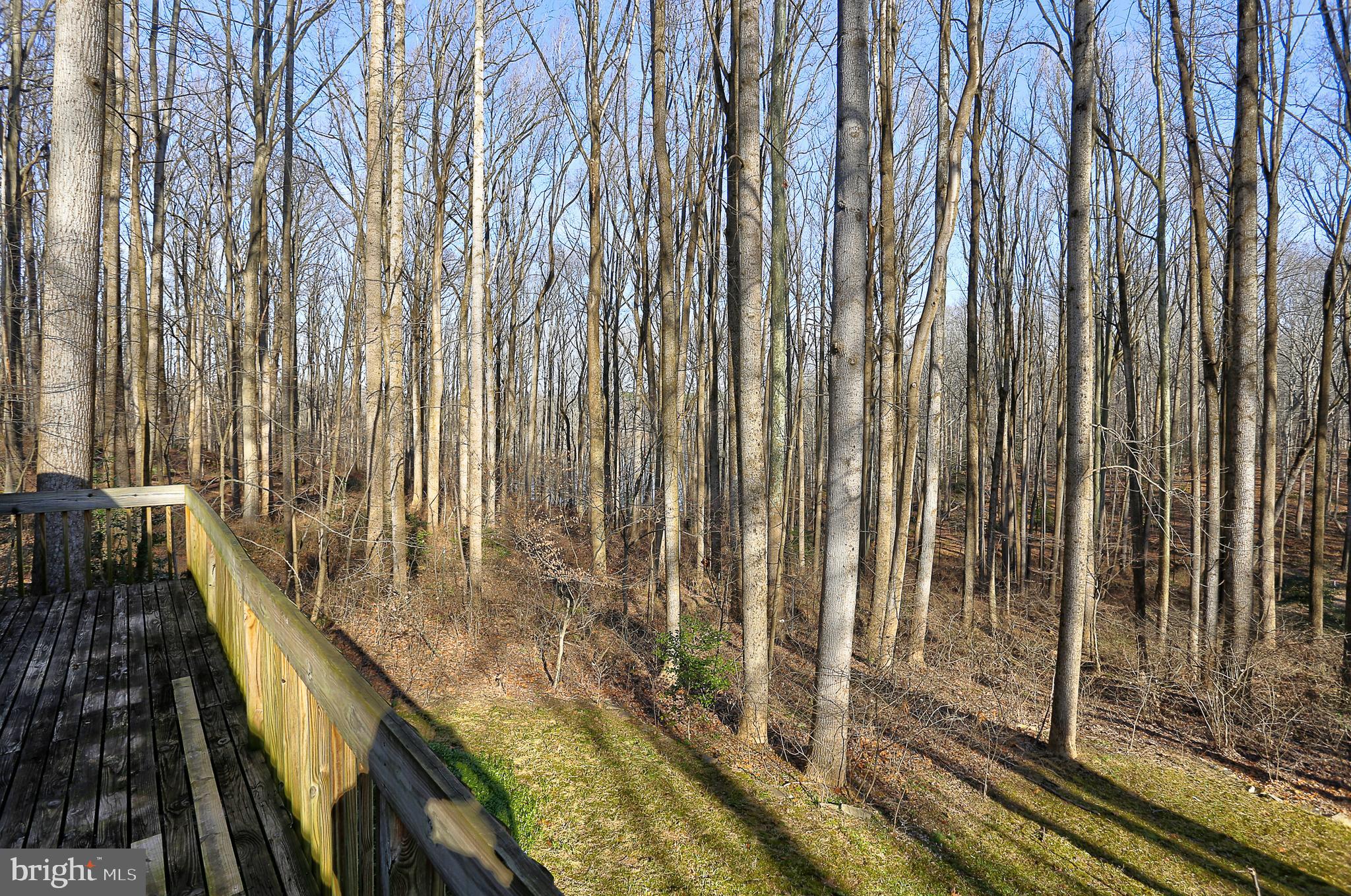 8678 Reservoir Road Fulton, MD 20759 - Photo 25 of 51 Deck/View