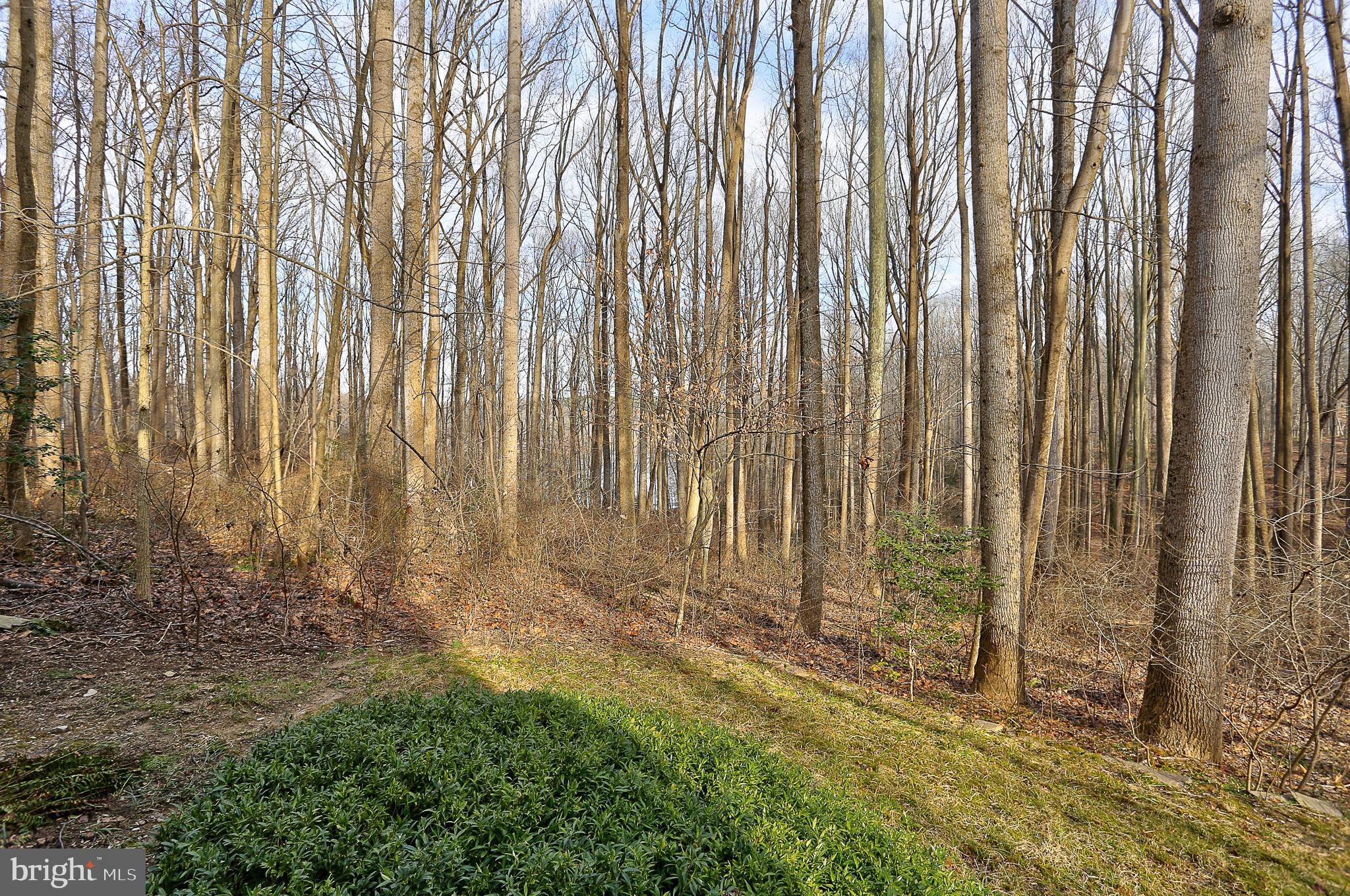 8678 Reservoir Road Fulton, MD 20759 - Photo 47 of 51 Back Yard