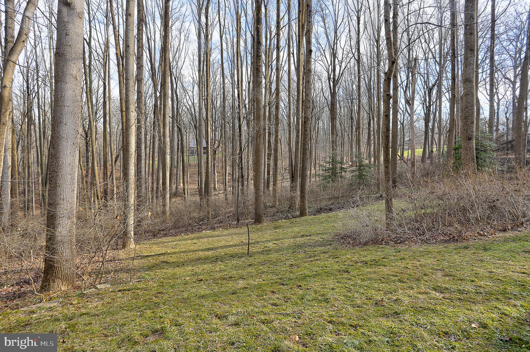 8678 Reservoir Road Fulton, MD 20759 - Photo 48 of 51 Back Yard