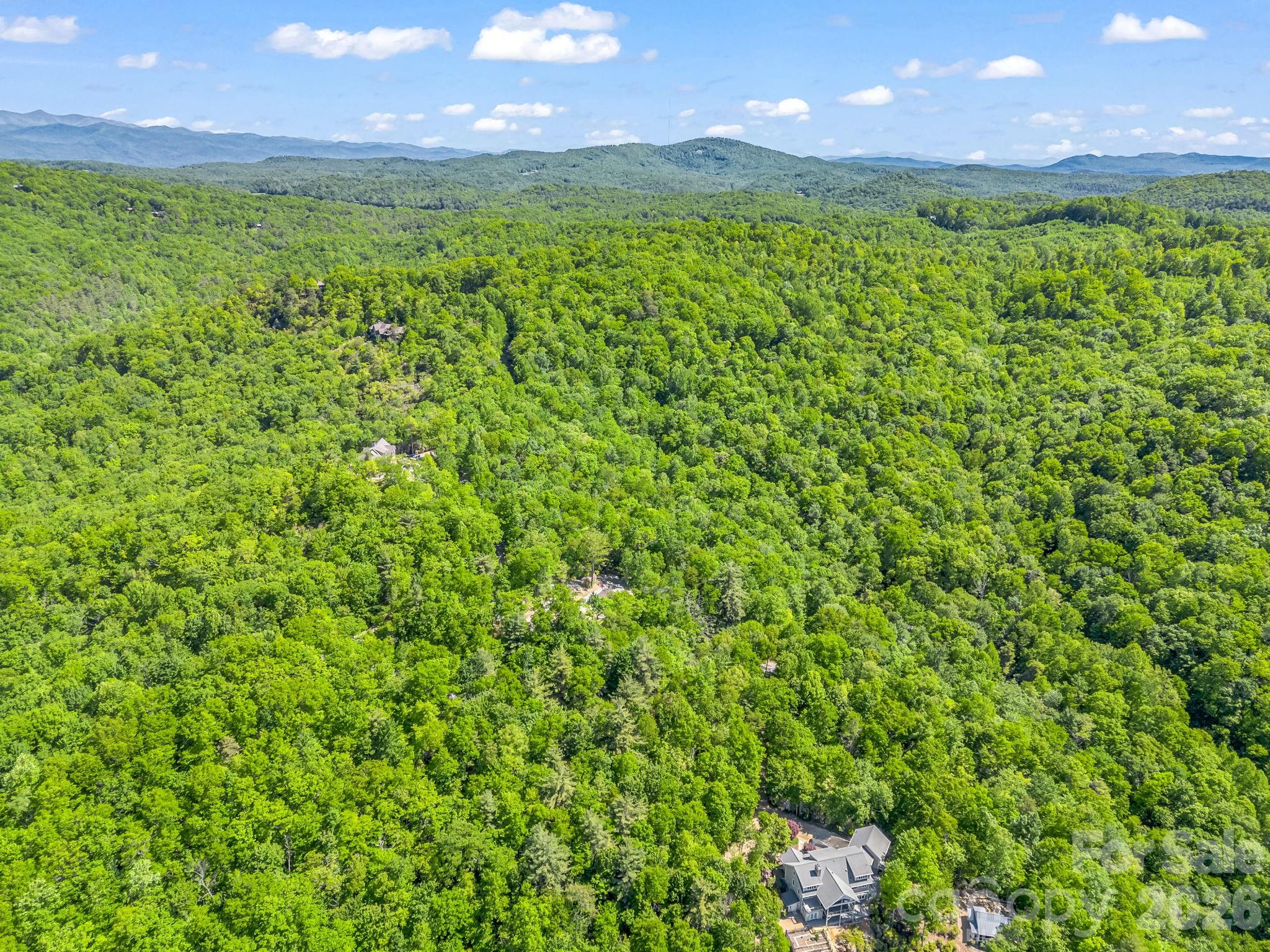 352 Big Hill Road Brevard, NC 28712 - Photo 10 of 31