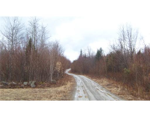 Lot 46 Fire Road Linneus, ME 04730 - Photo 6 of 13 Land/Lot.
