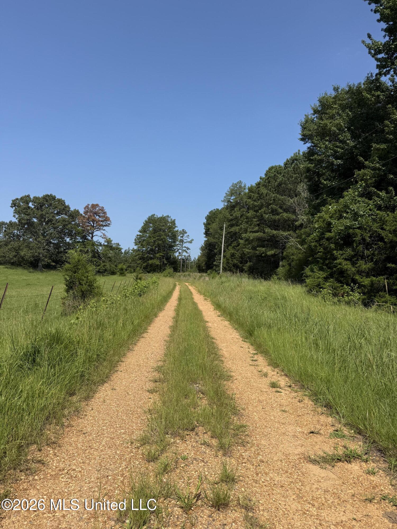 Monte Vista Road Eupora, MS 39744 - Photo 24 of 54 IMG_6421