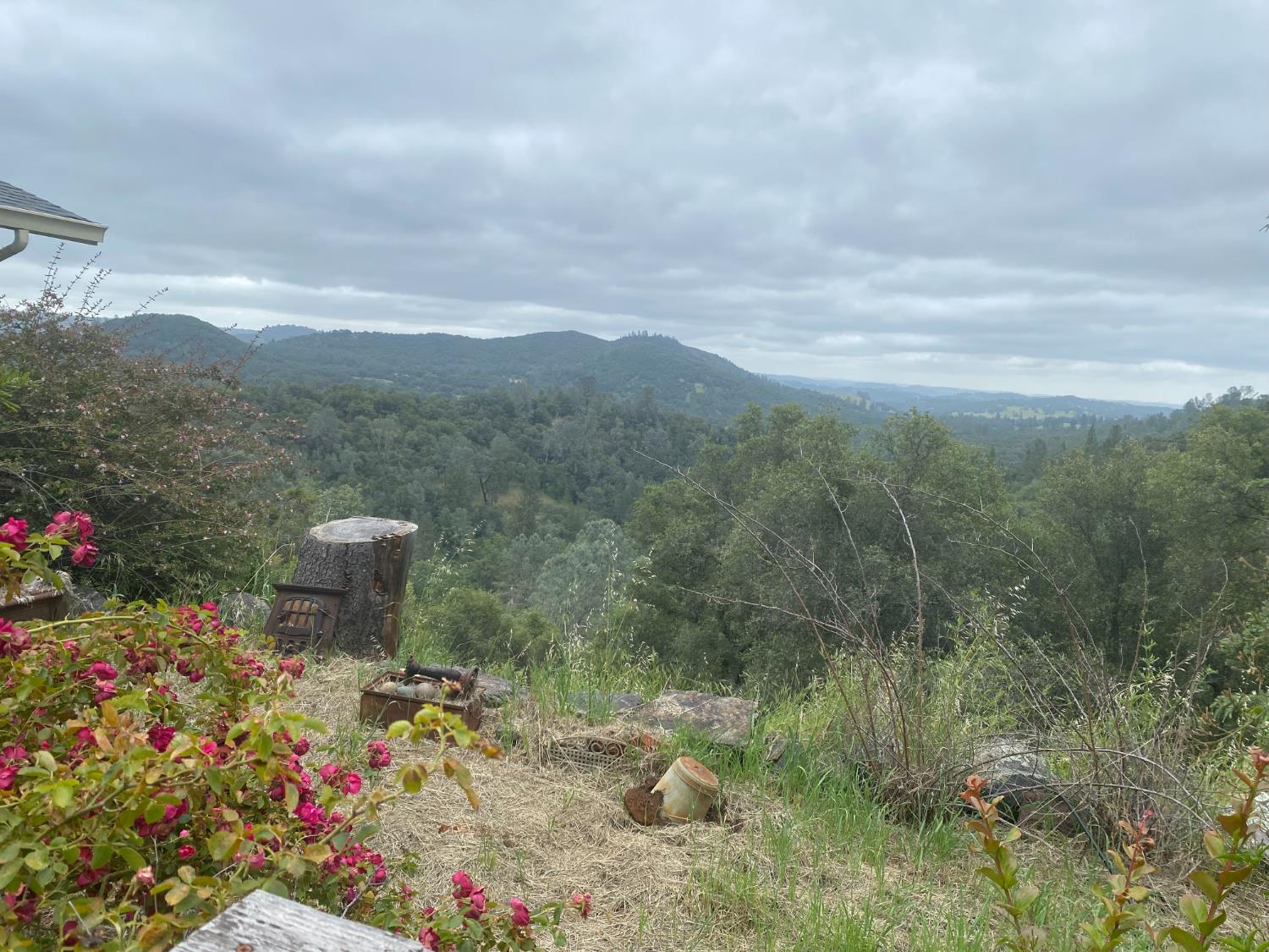 5021 Banbury Cross Road Shingle Springs, CA 95682 - Photo 80 of 92 Side yard view.