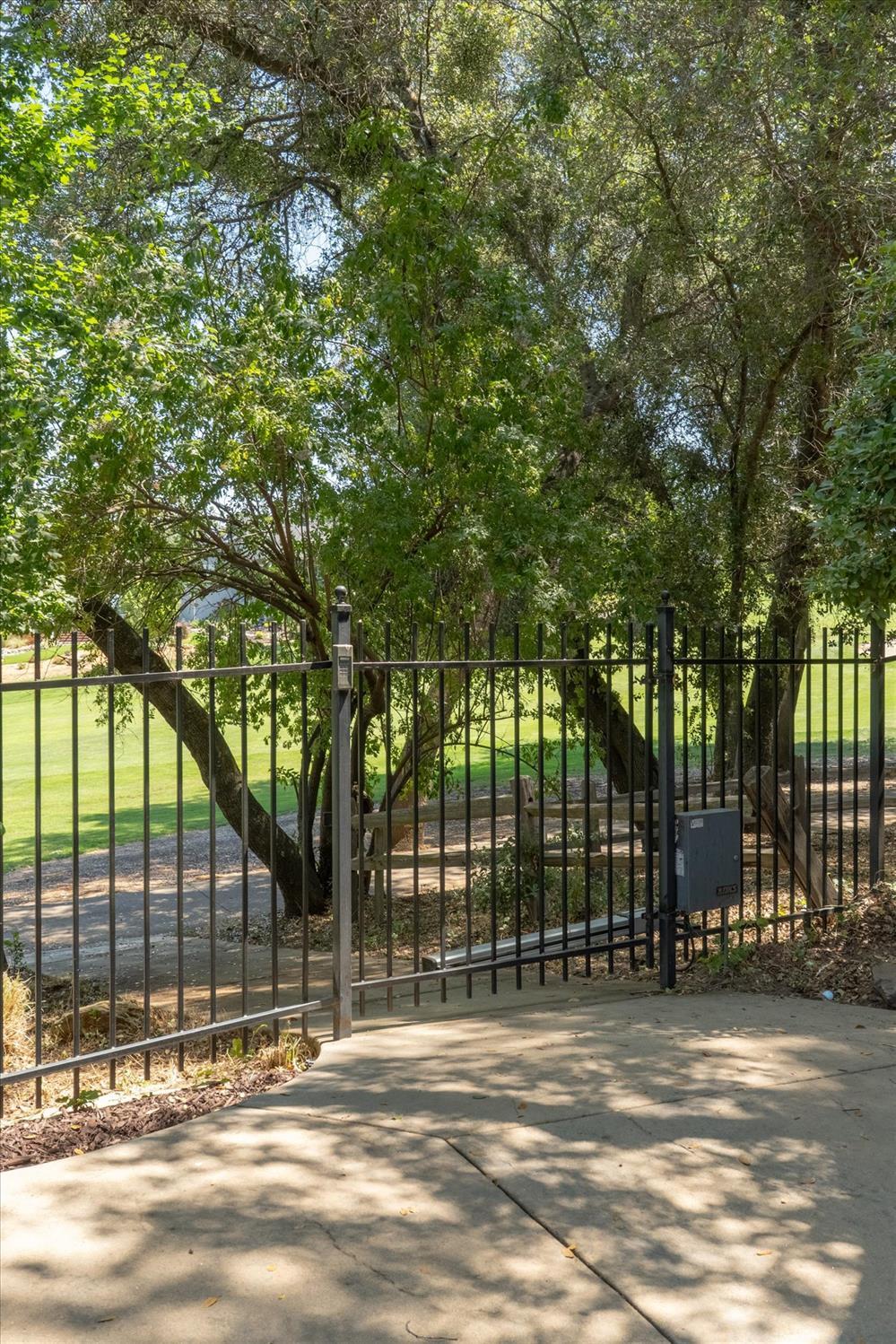 643 Miwuk Way Angels Camp, CA 95222 - Photo 47 of 55 a view of a backyard with a garden