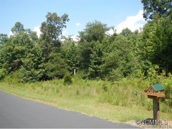 Lot 91 Cross Ridge Drive, Unit 91 Rutherfordton, NC 28139 - Photo 6 of 9